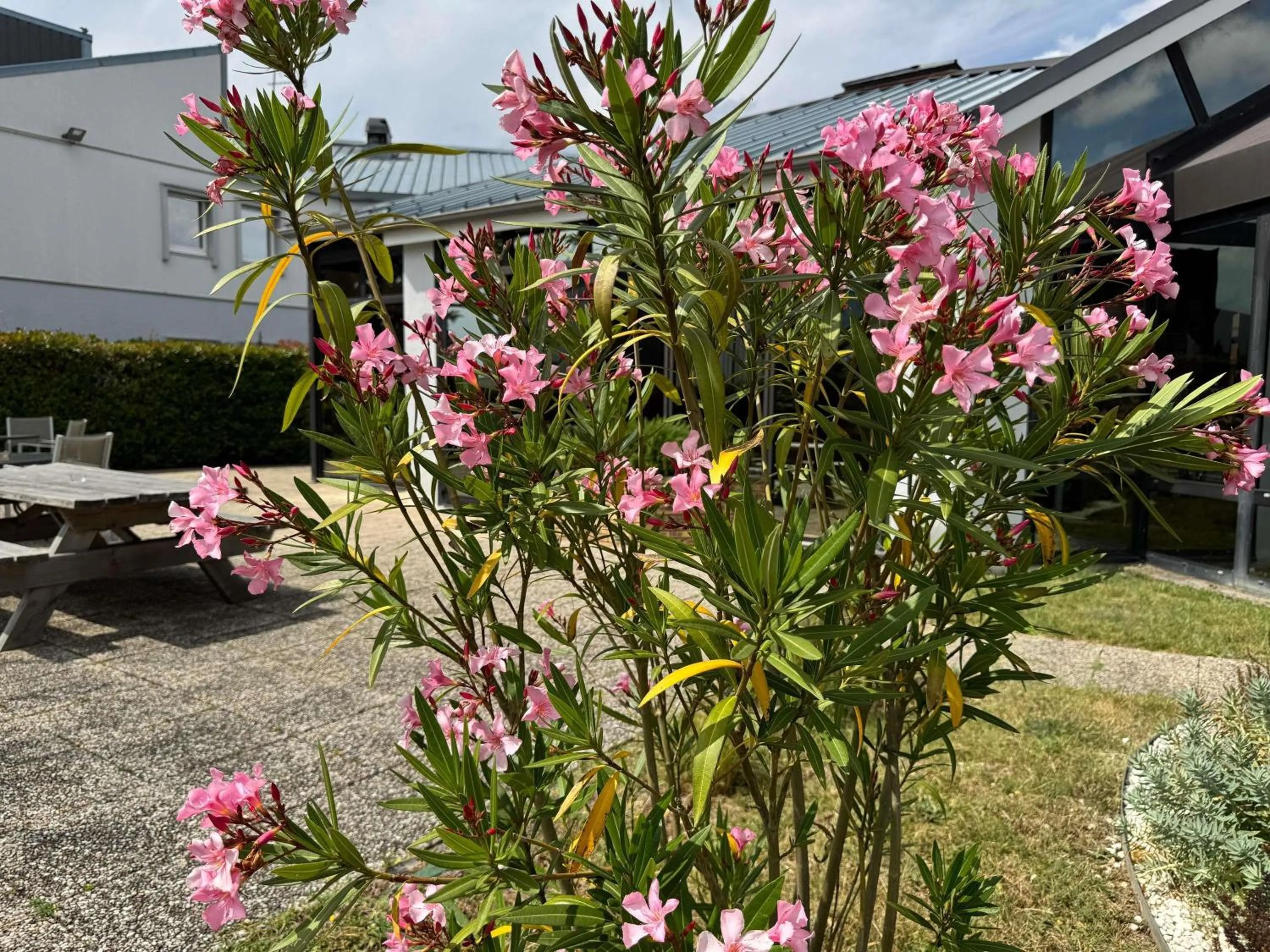 Other in Ibis Angoulême Nord