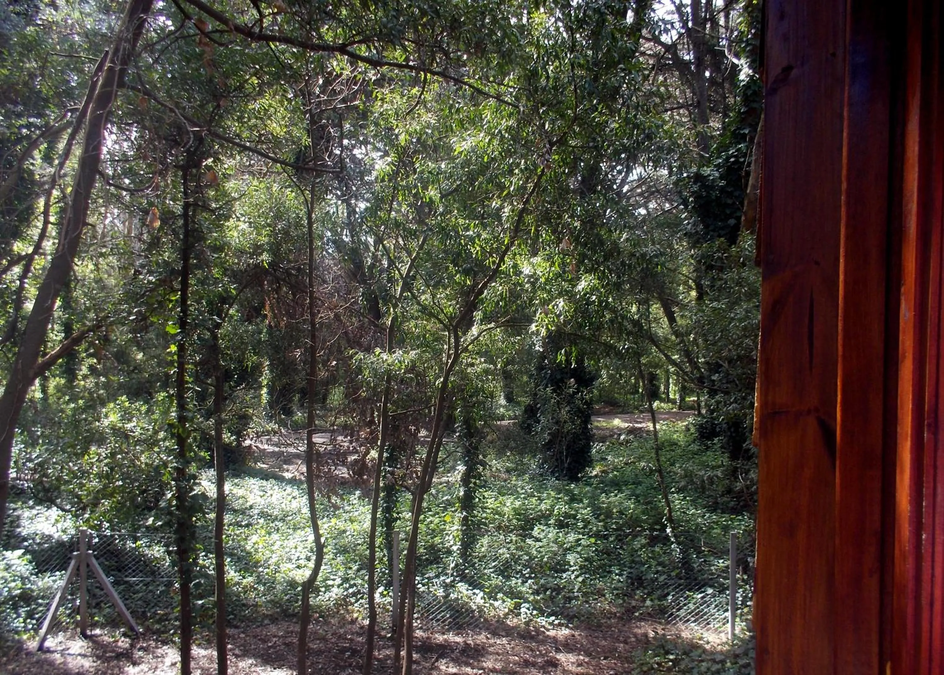 Other in Cabañas Las Sirenas
