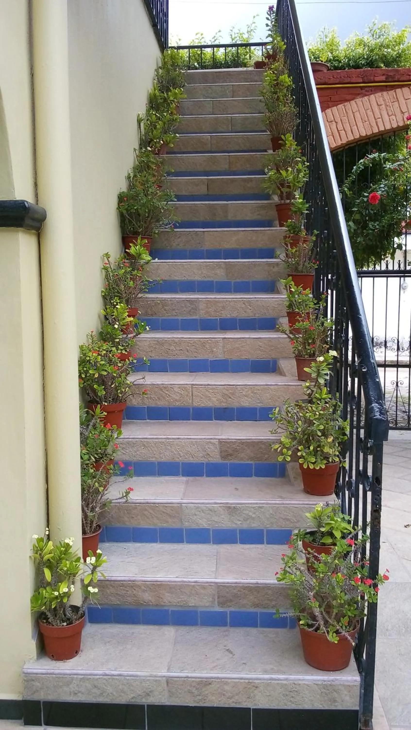 Hotel Posada del Rey