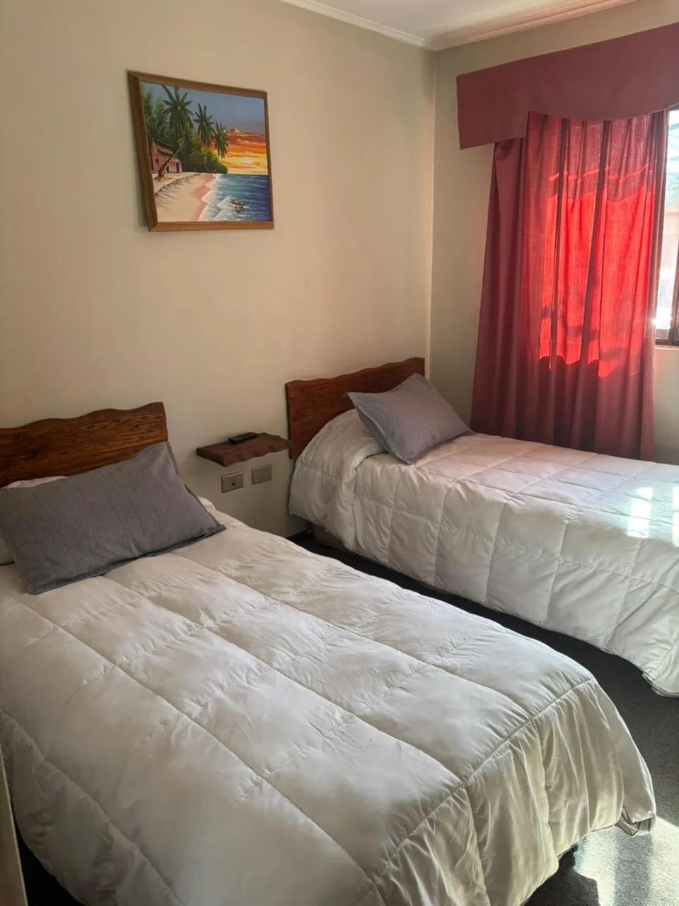 Twin Room - single occupancy in Hotel de la Avenida