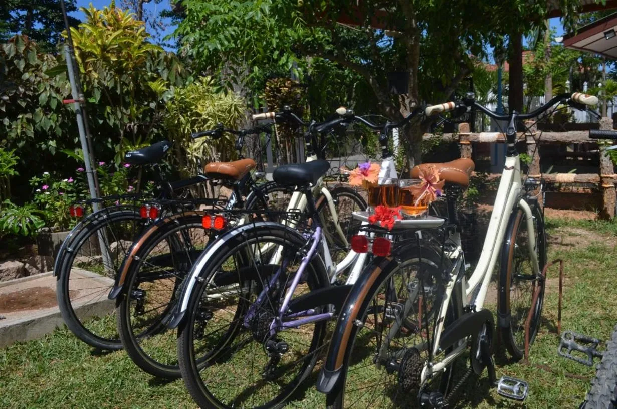 Rising Sun Guesthouse