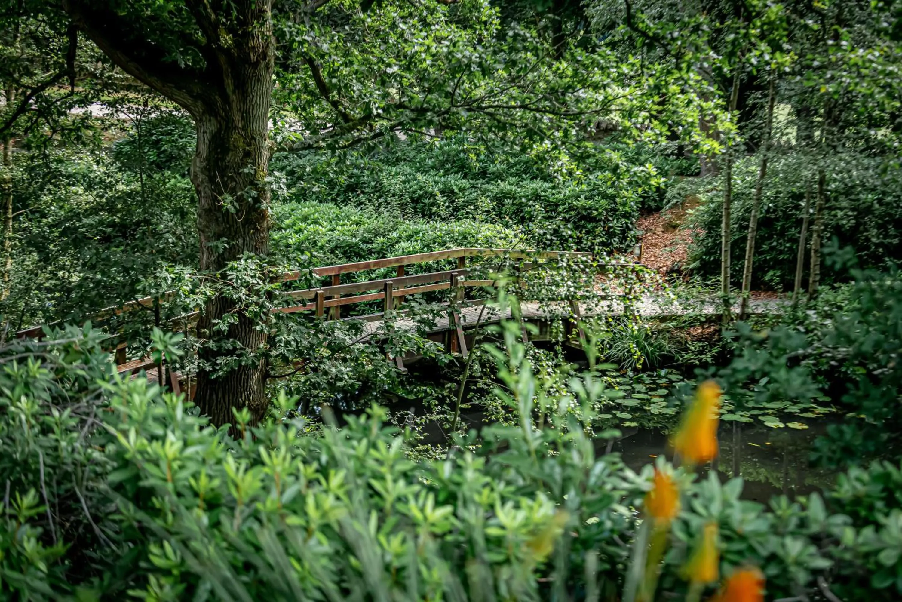 Garden in Accommodation at Salomons Estate