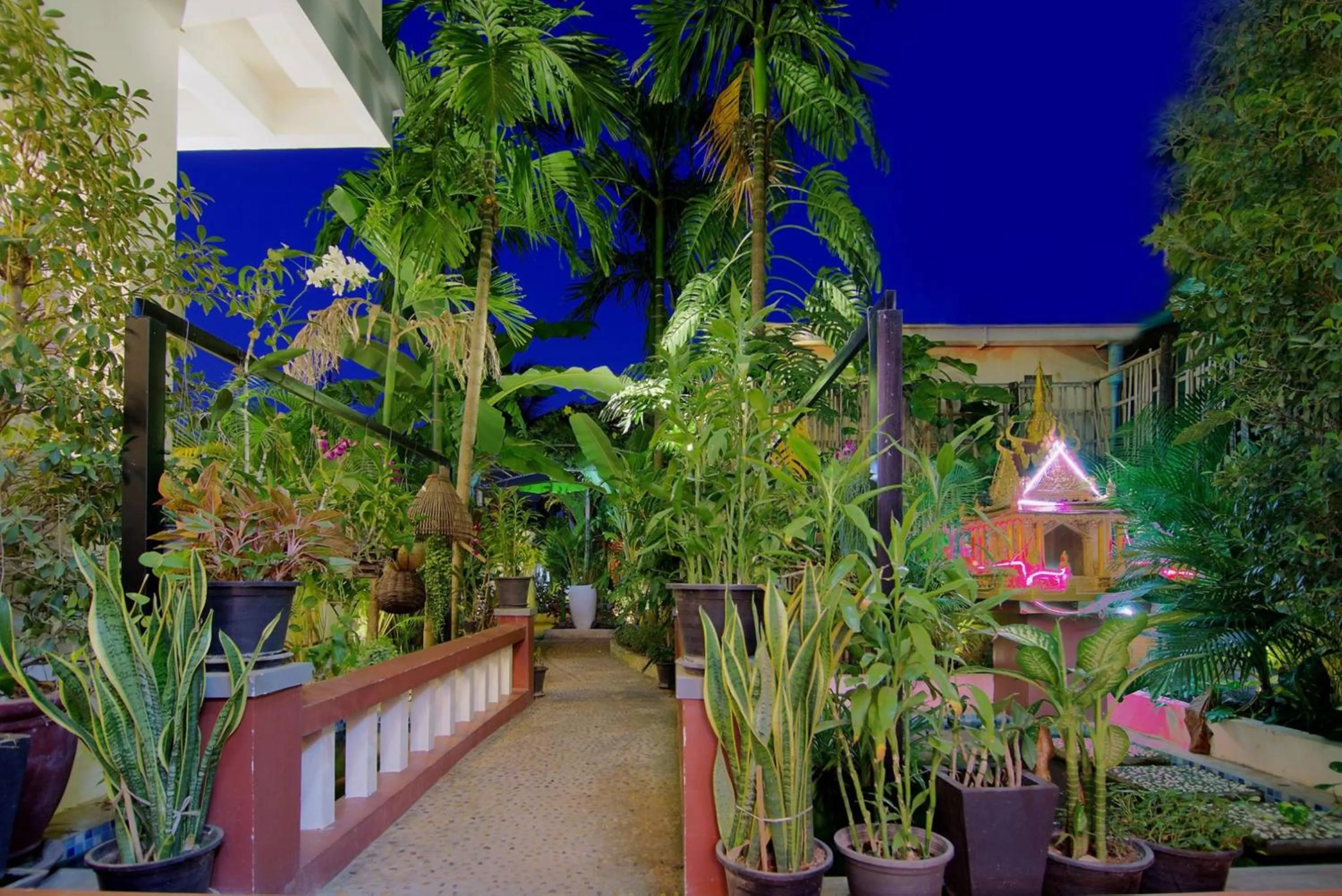 Garden in Bou Phanith Villa