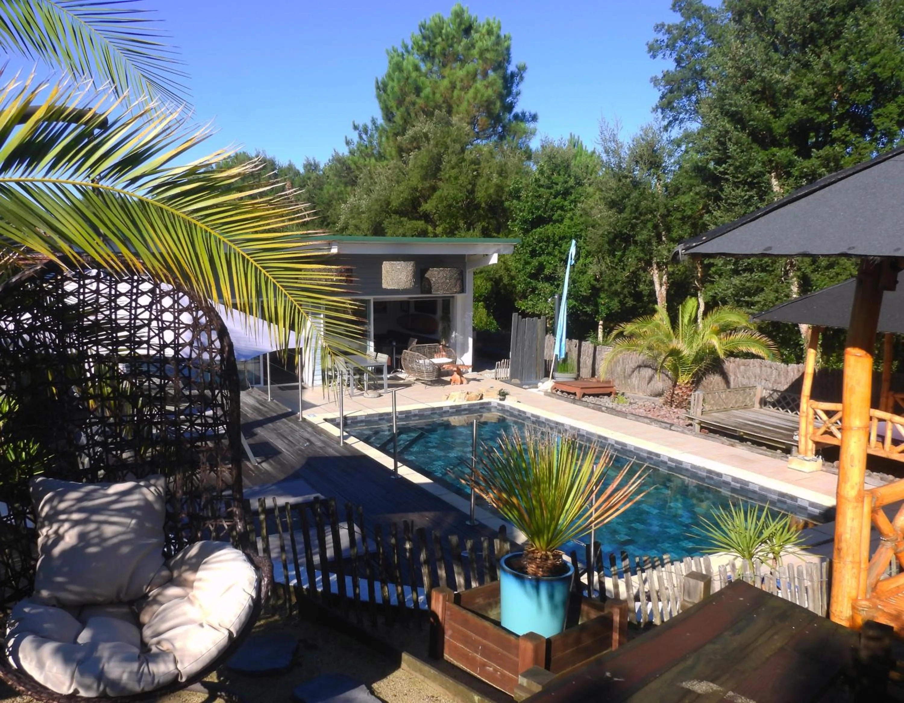 Swimming pool in Ohana Lodge