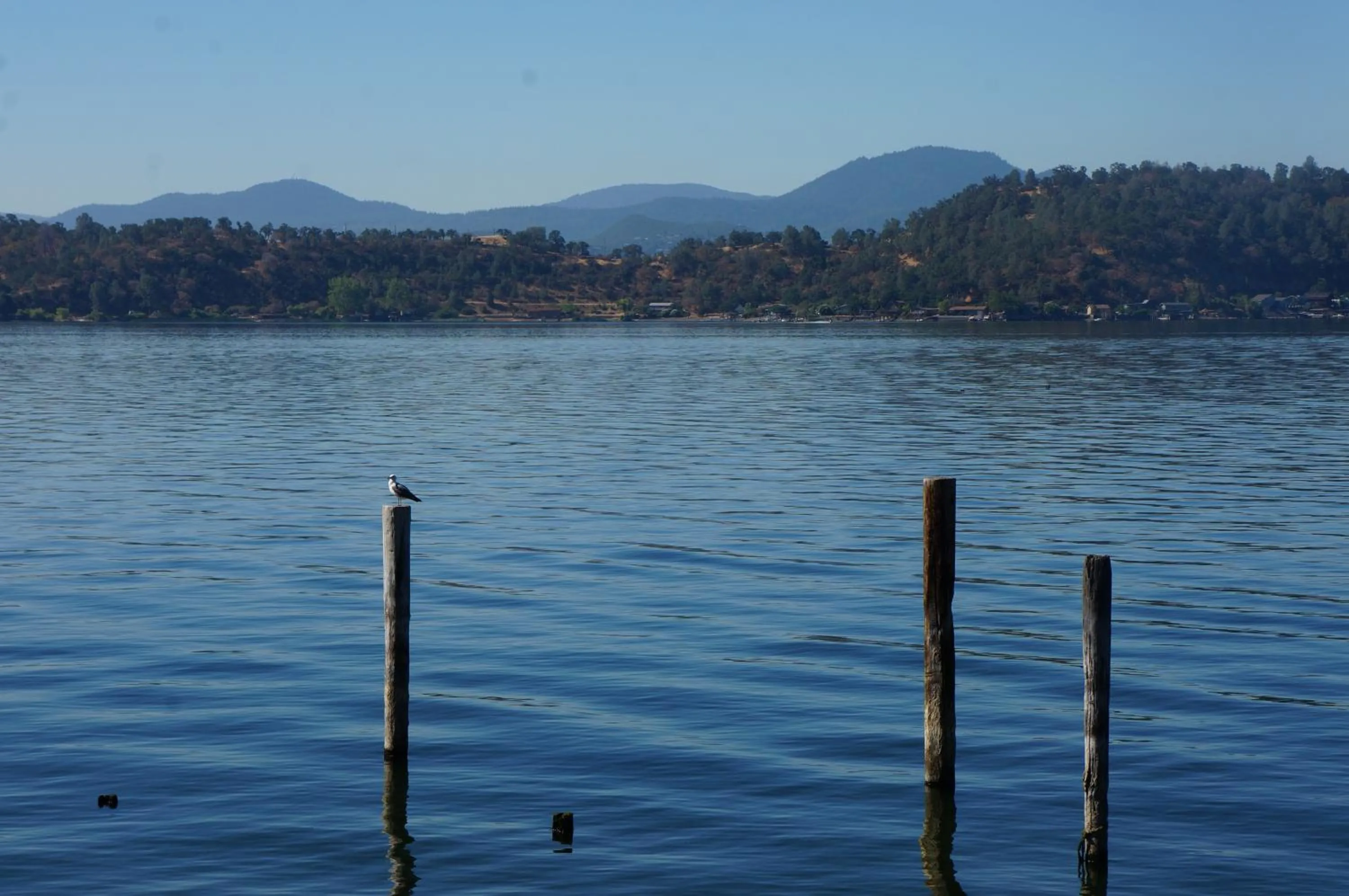 Natural landscape in Lake Marina Inn