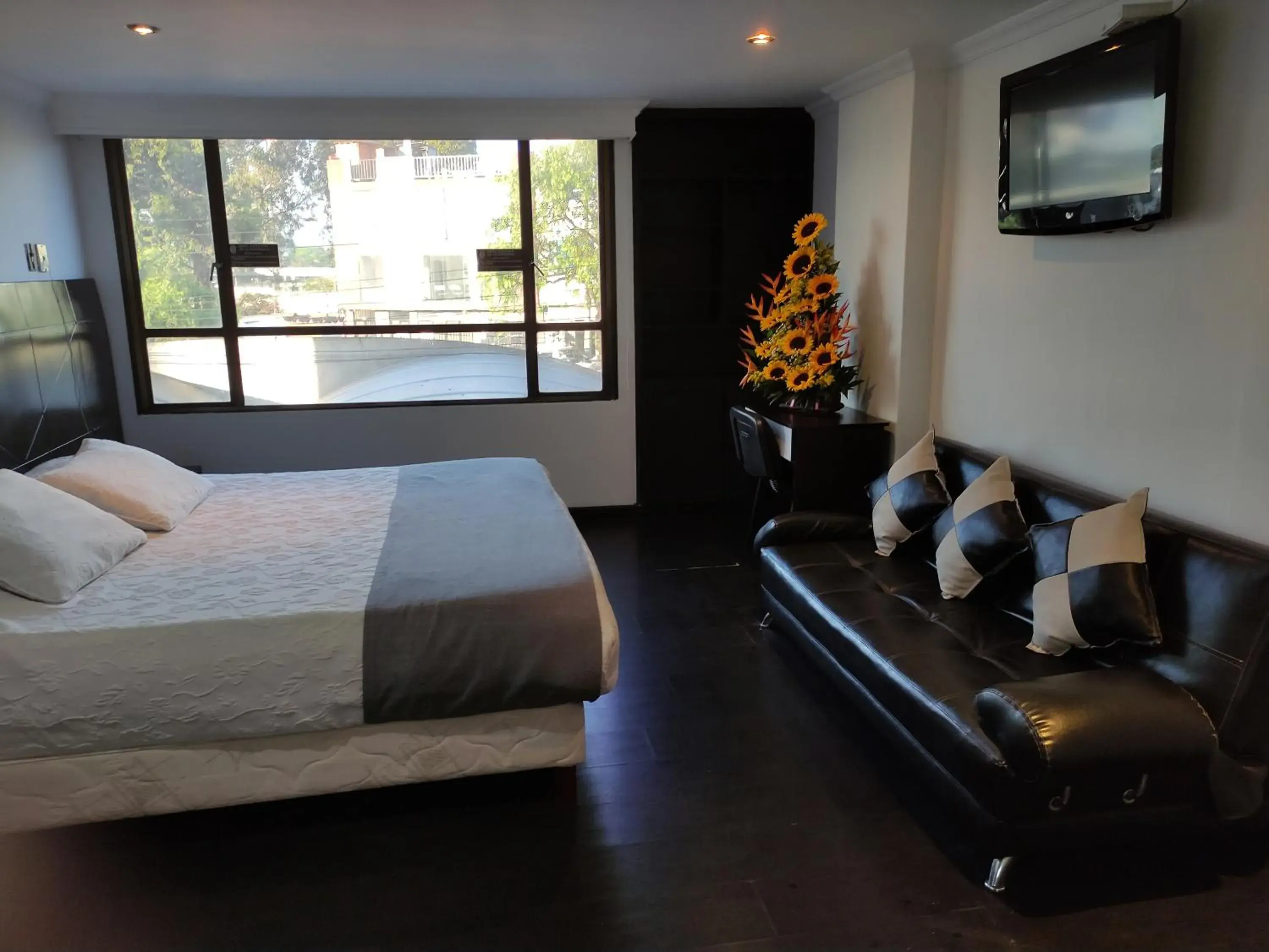 Double Room - single occupancy in Hotel Ejecutivo Av la Esperanza Double Room - single occupancy in Hotel Ejecutivo Av la Esperanza