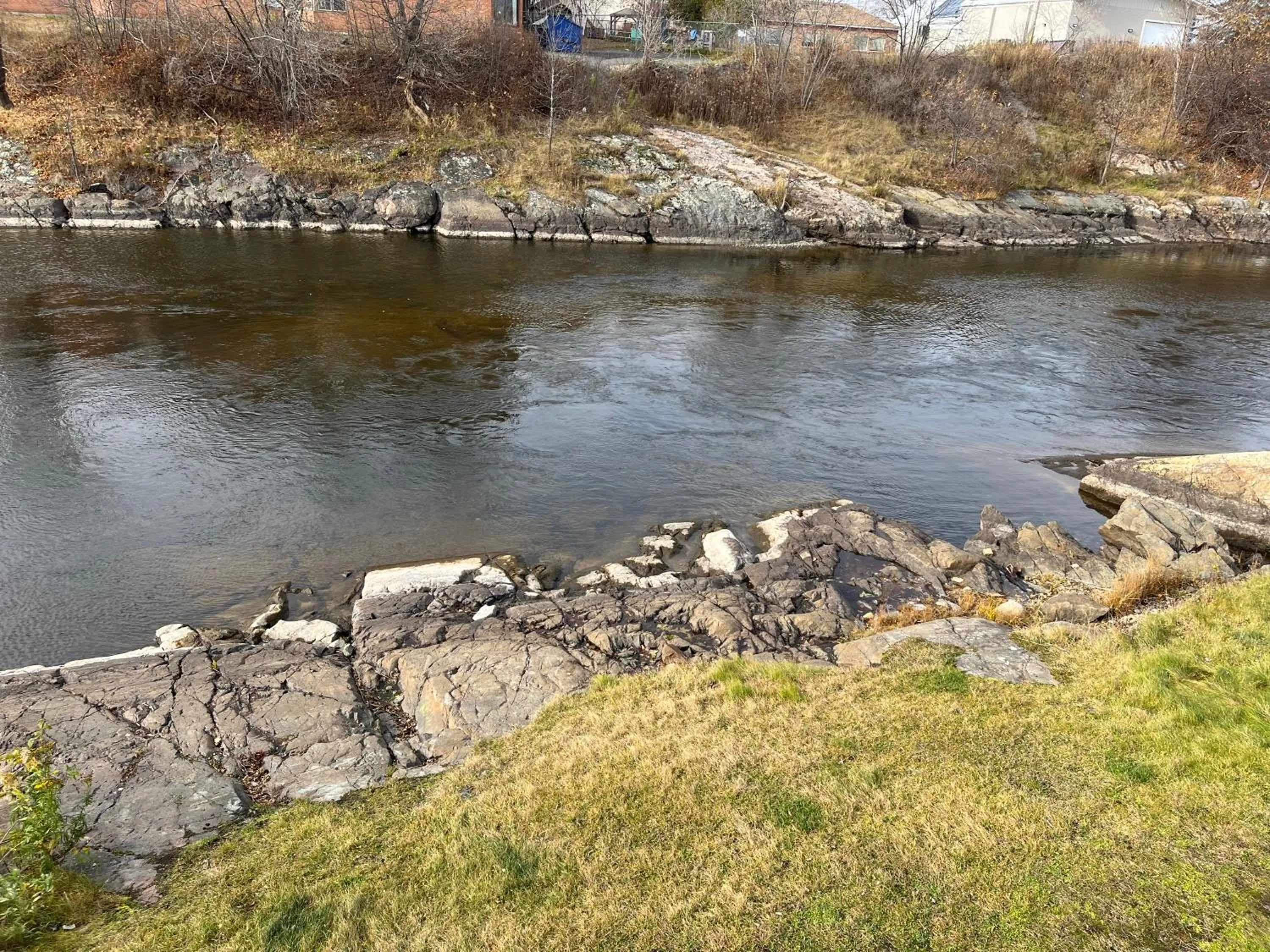 Natural landscape in Old Mill Motel