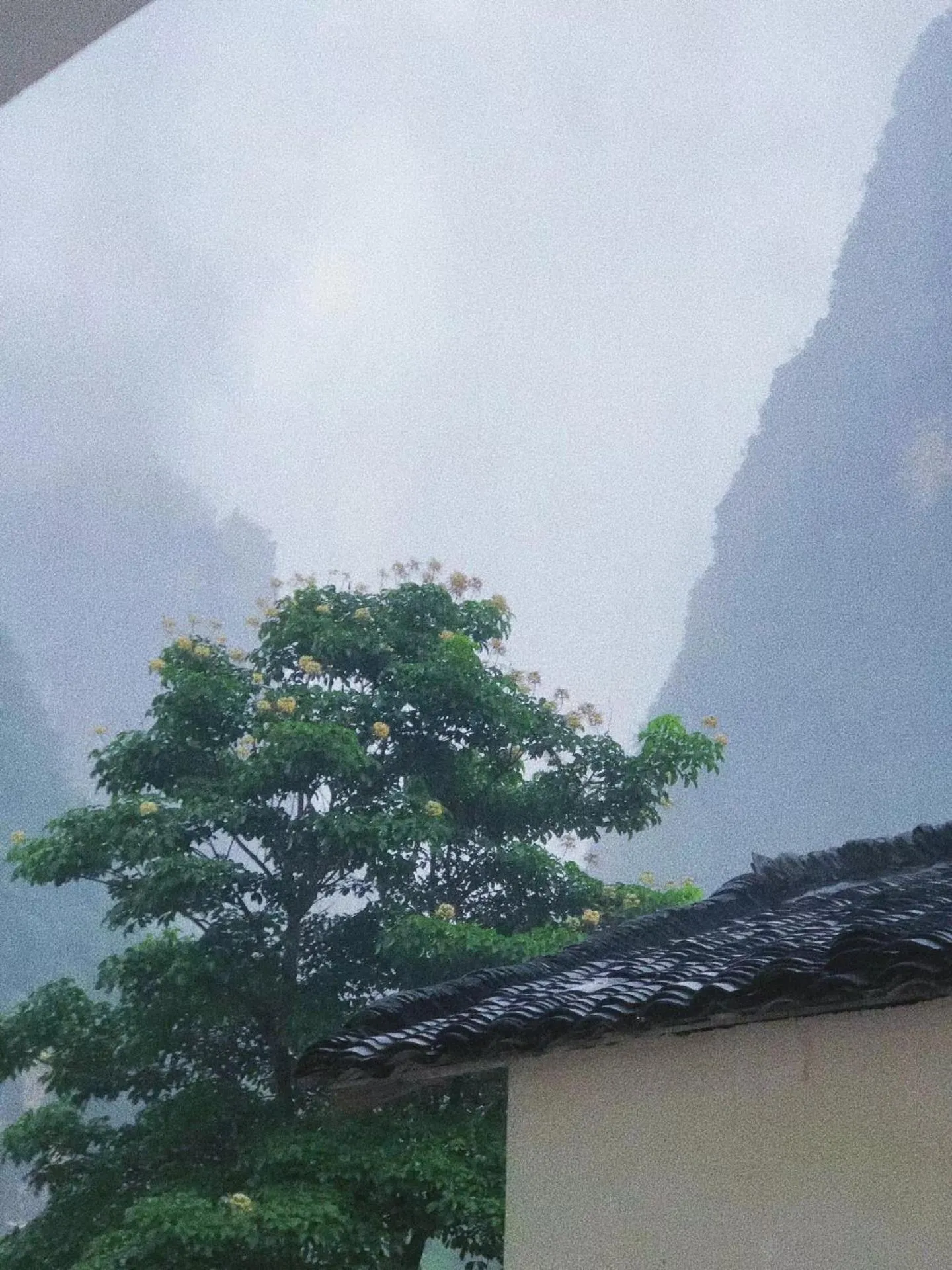 Natural landscape in Ruoli Yangshuo