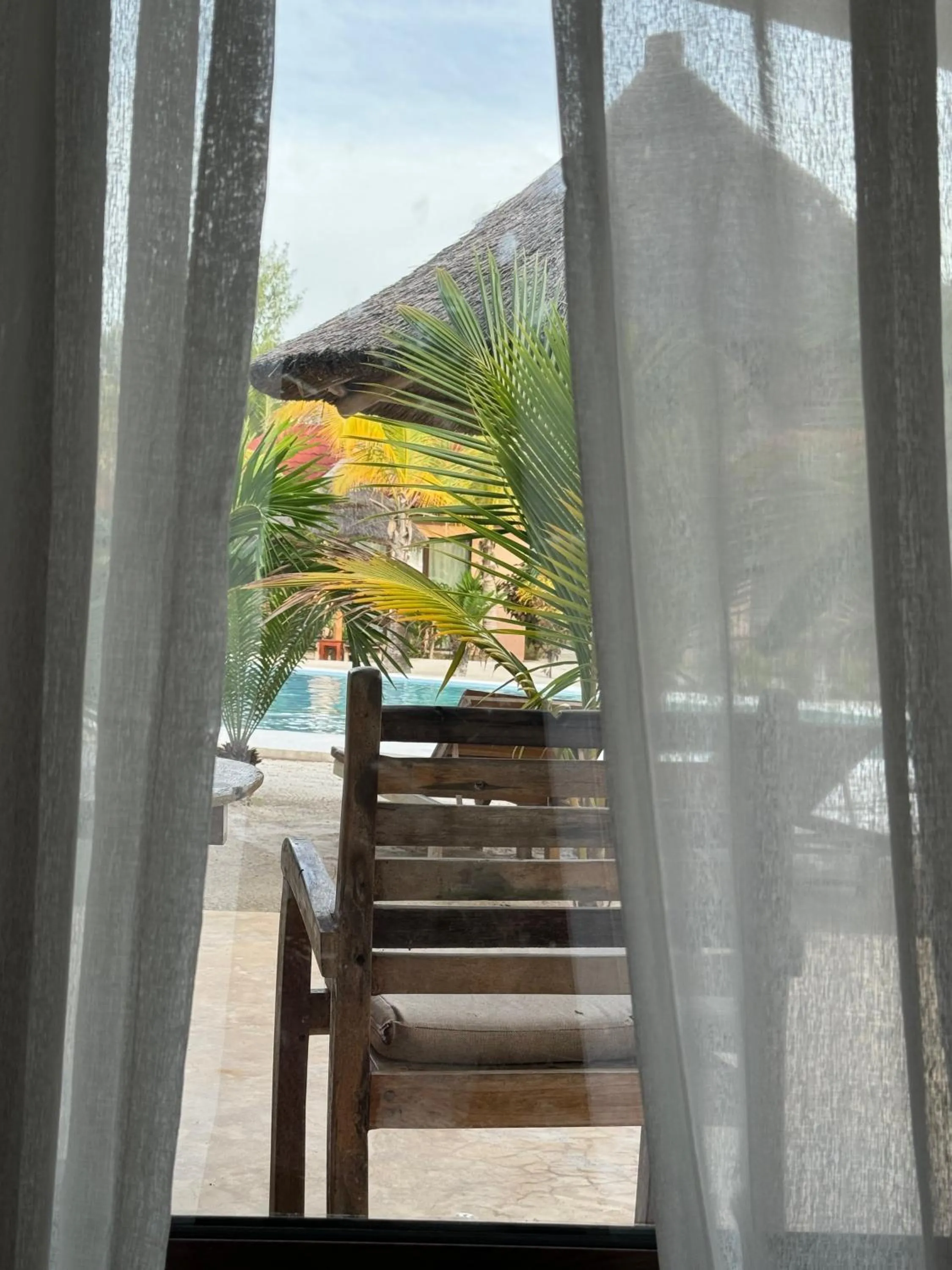 Garden view in Paje Blu Boutique Hotel