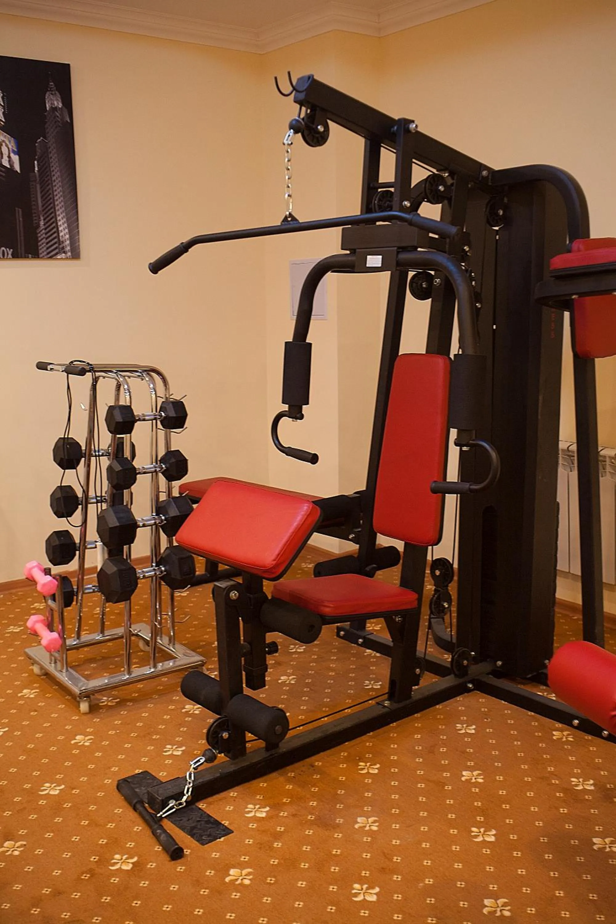 Fitness centre/facilities in Golden Palace Hotel