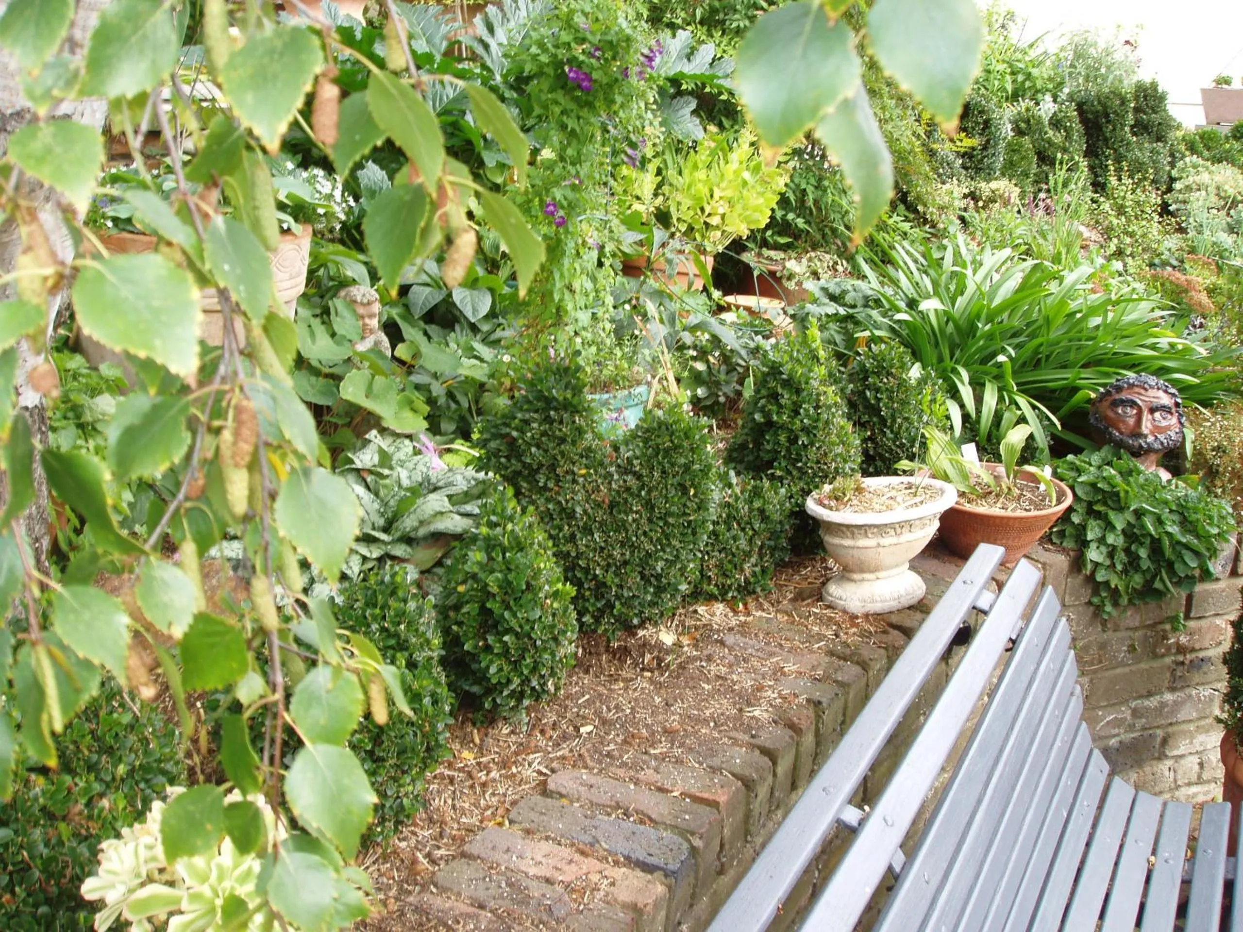 Garden in Topiary Haven