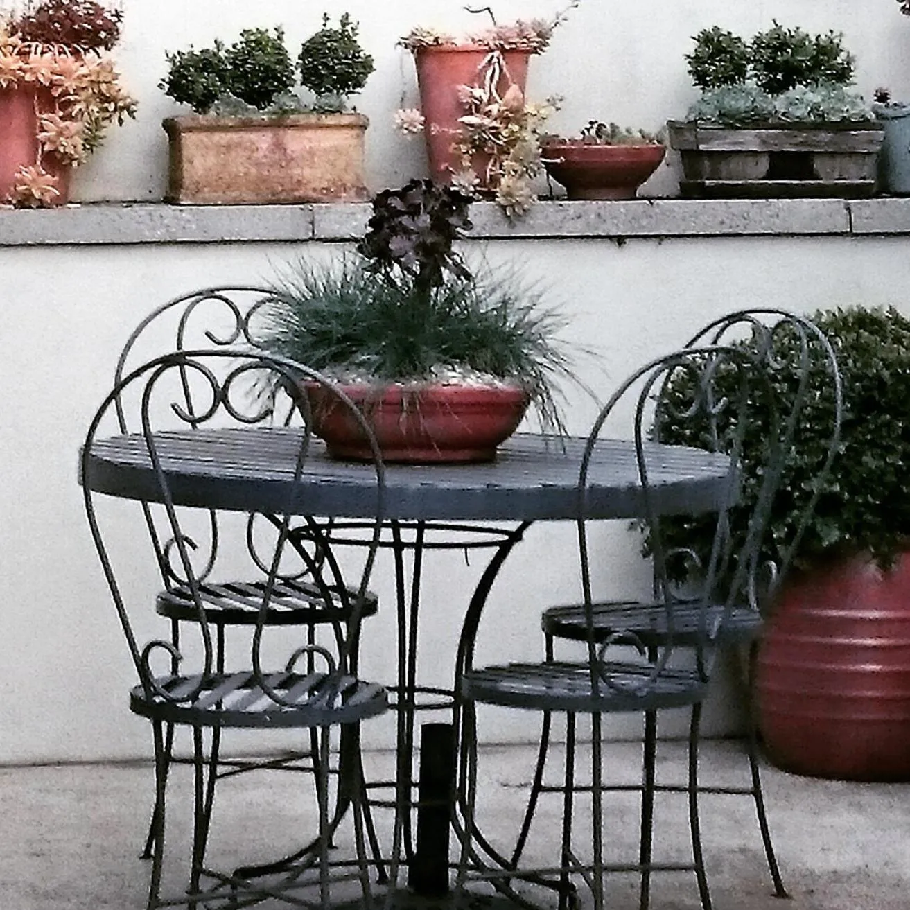 Patio in Topiary Haven