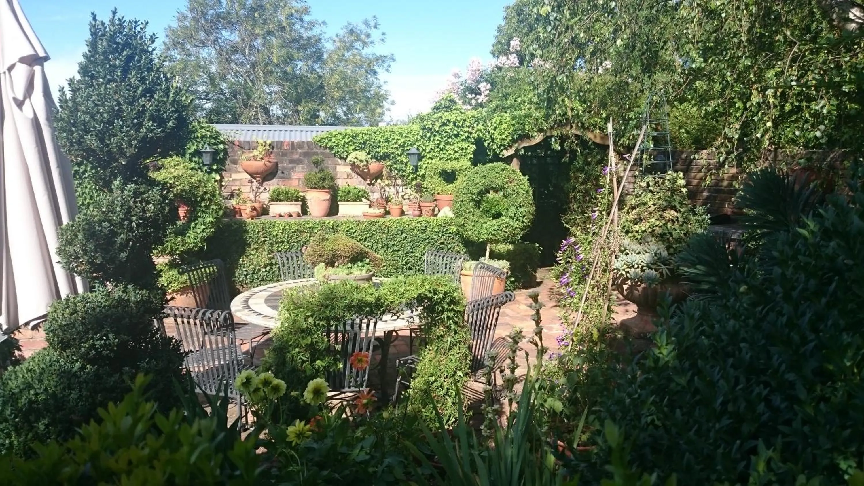 Garden in Topiary Haven