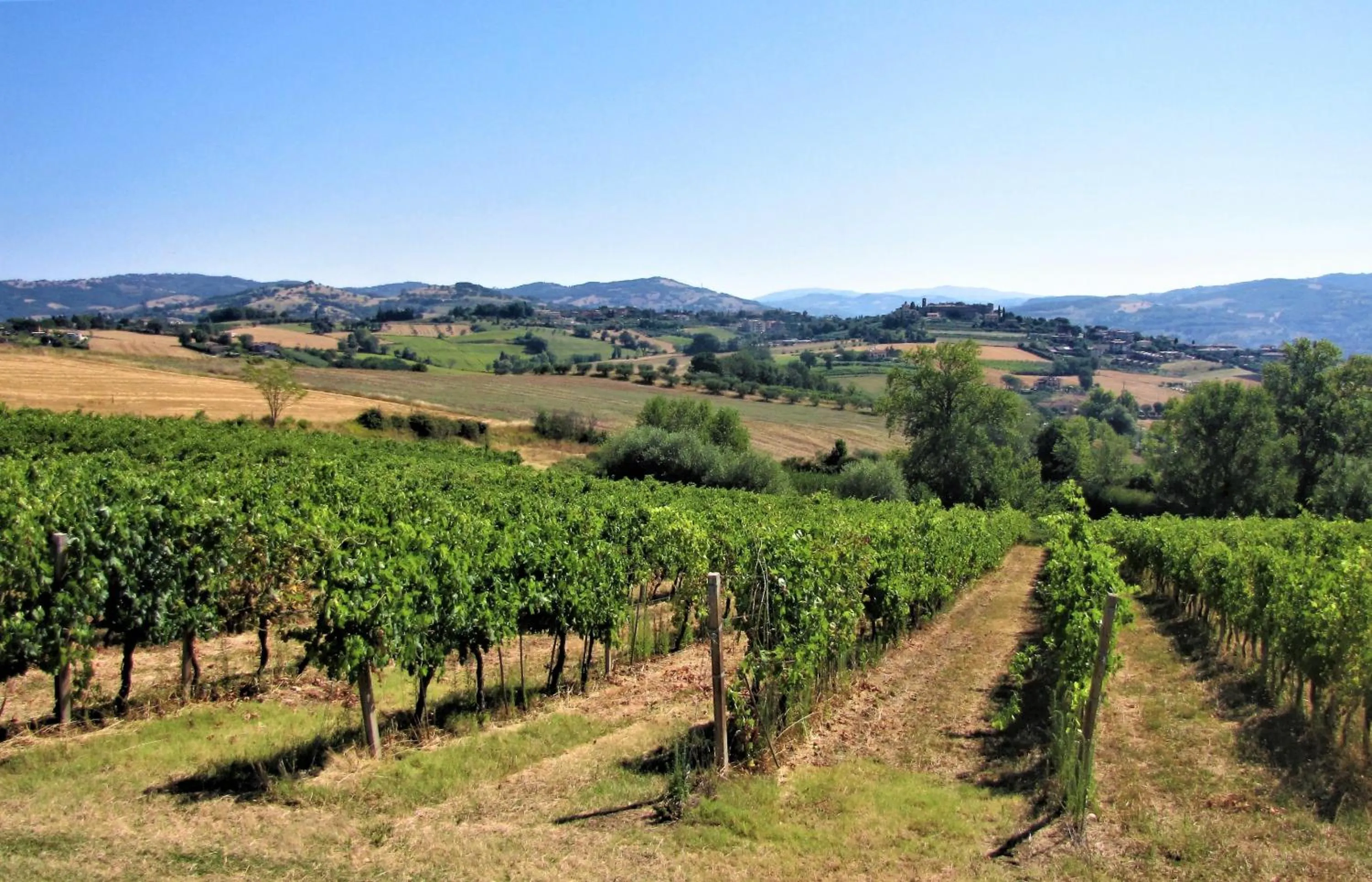 View (from property/room) in Casa con vista fantastica