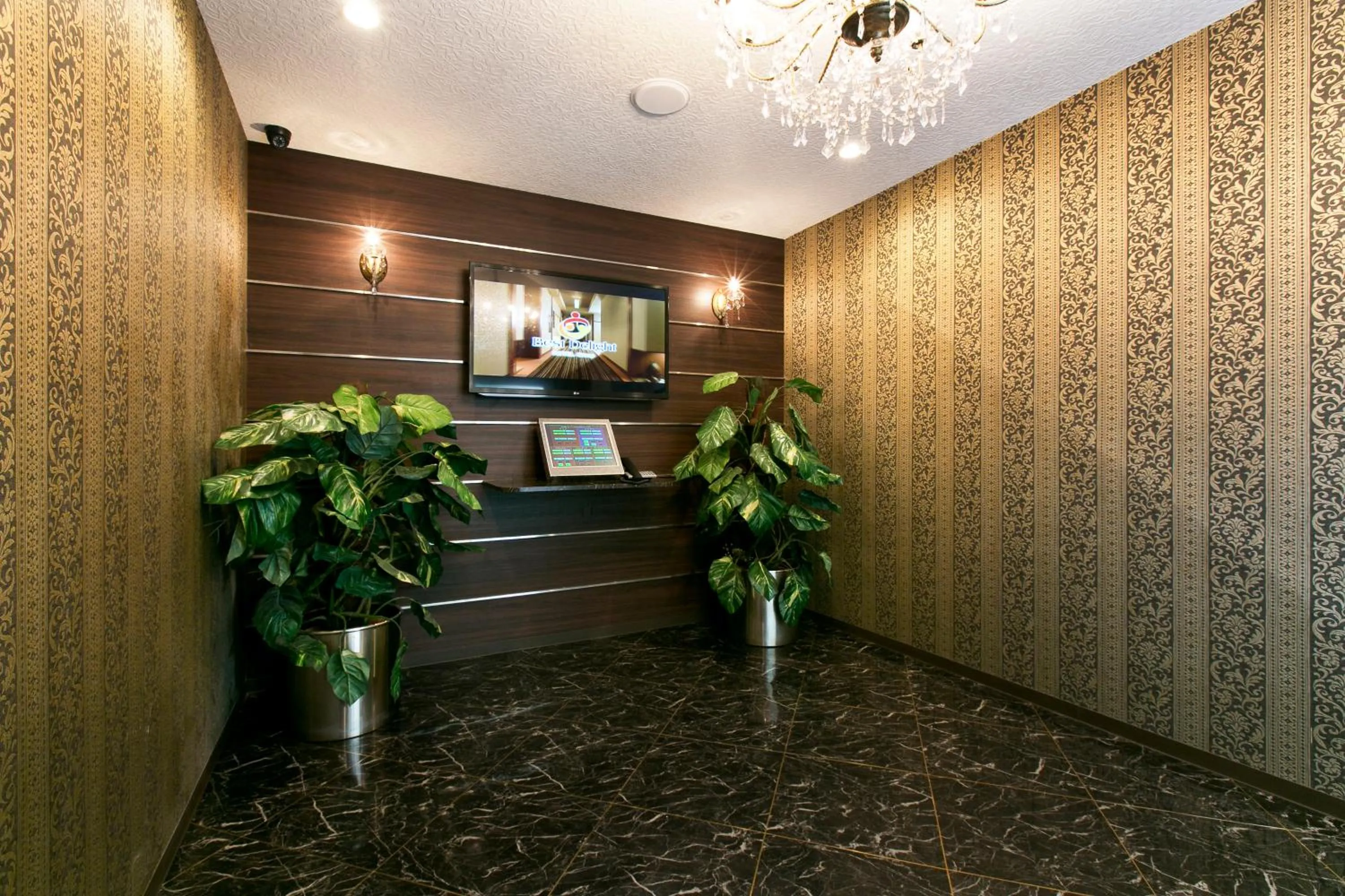 Lobby or reception in Hotel Luna (Adult Only)
