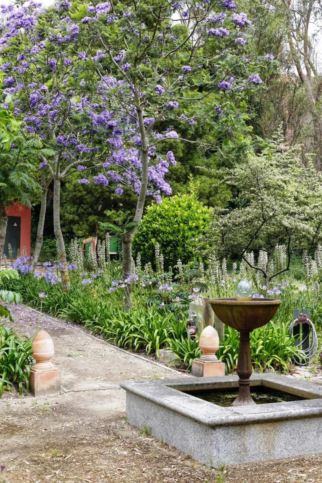 Cortijo La Hoya