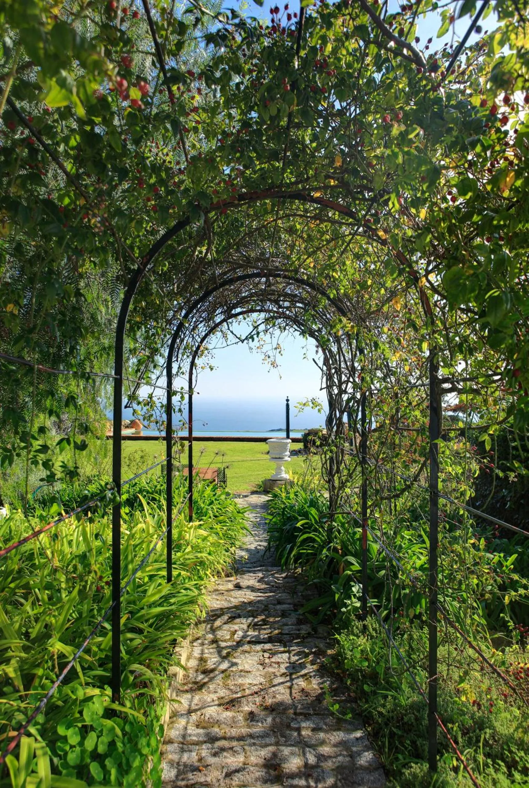 Garden in Cortijo La Hoya