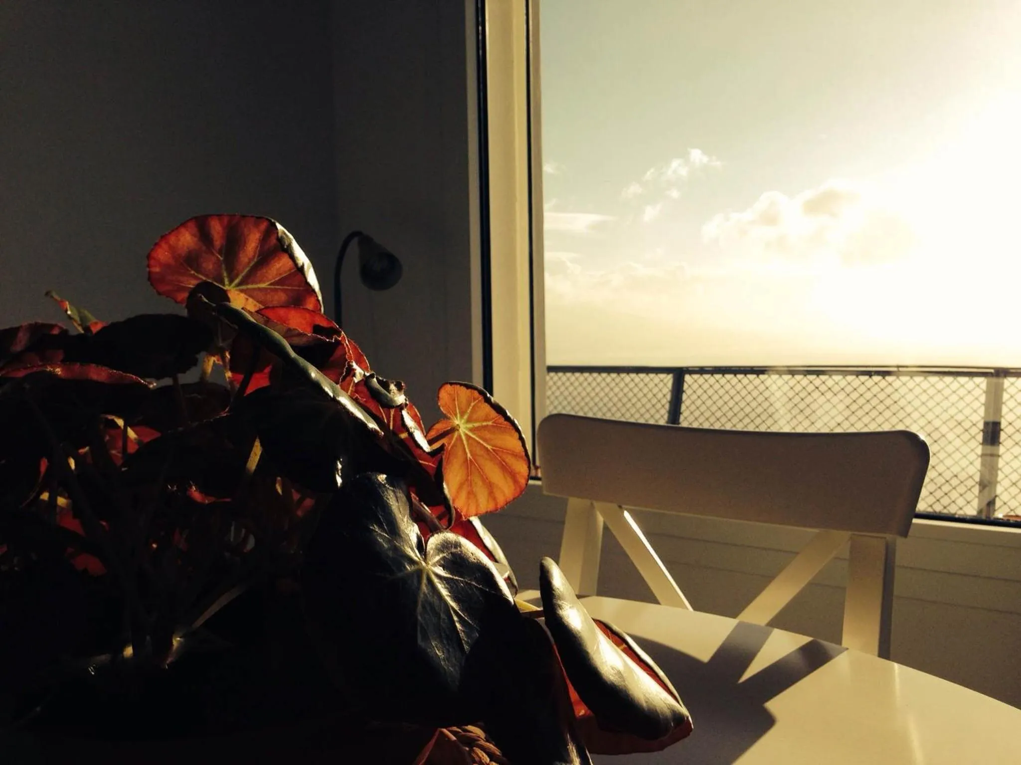 Decorative detail in B&B Dipintodiblu'