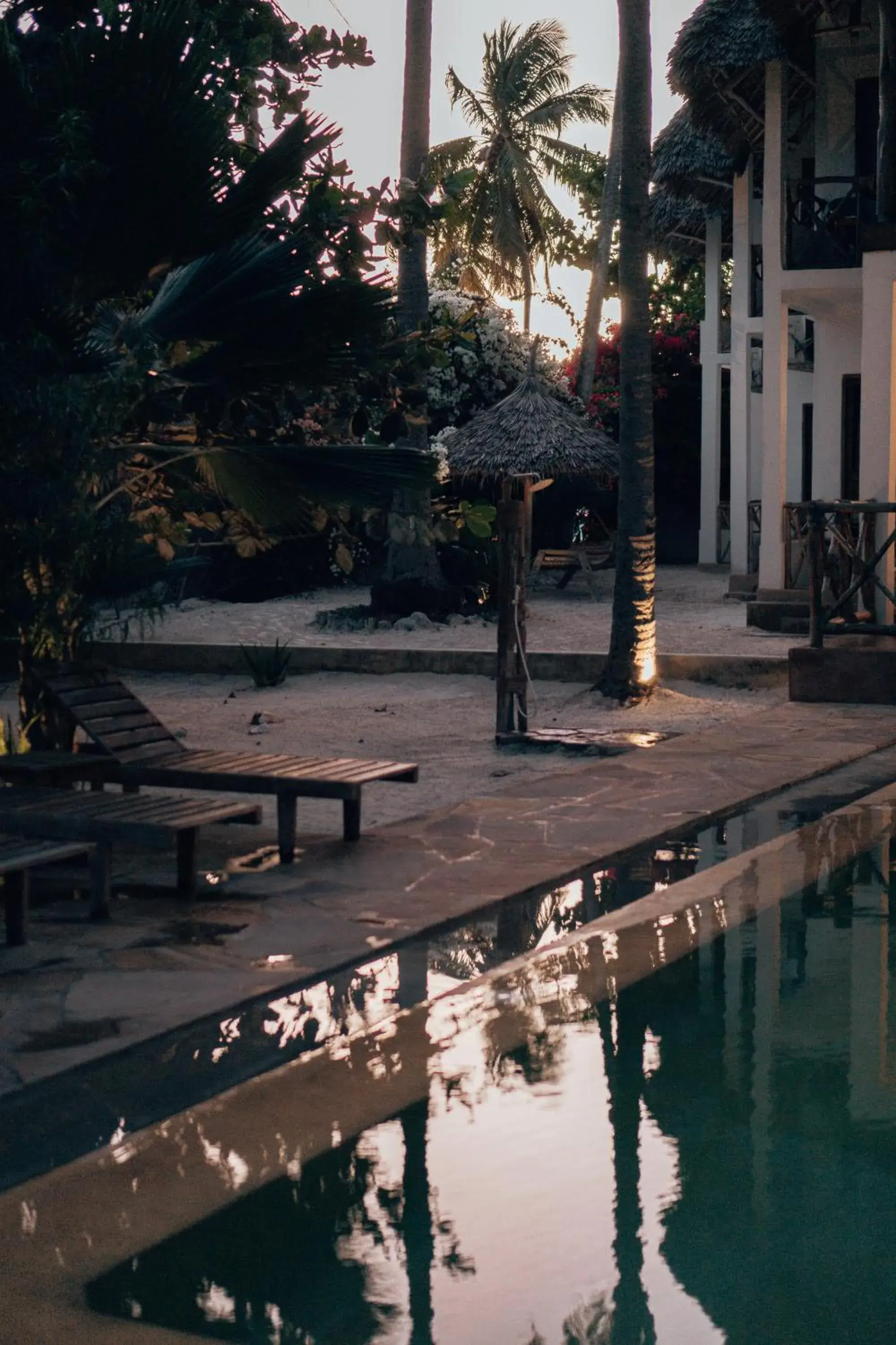 Garden view in Sahari Zanzibar Garden view in Sahari Zanzibar