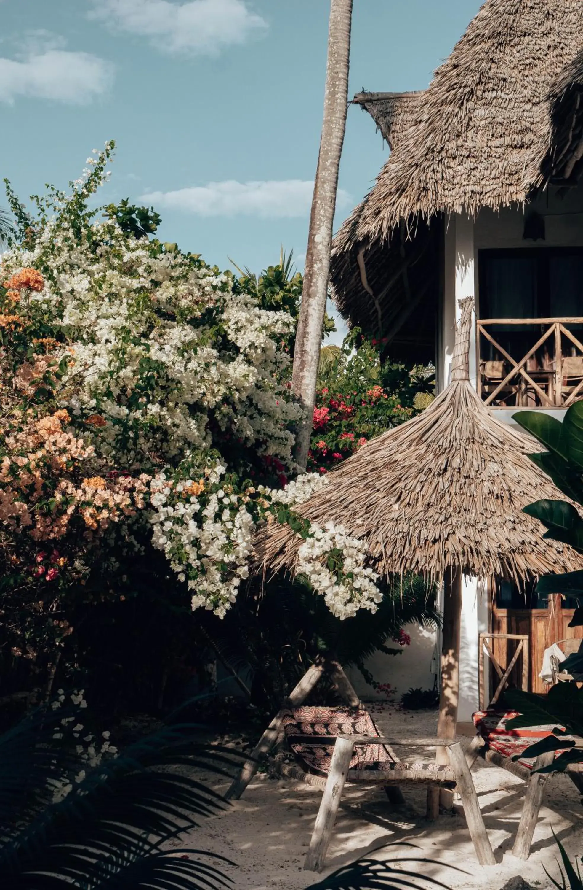 Garden view in Sahari Zanzibar Garden view in Sahari Zanzibar