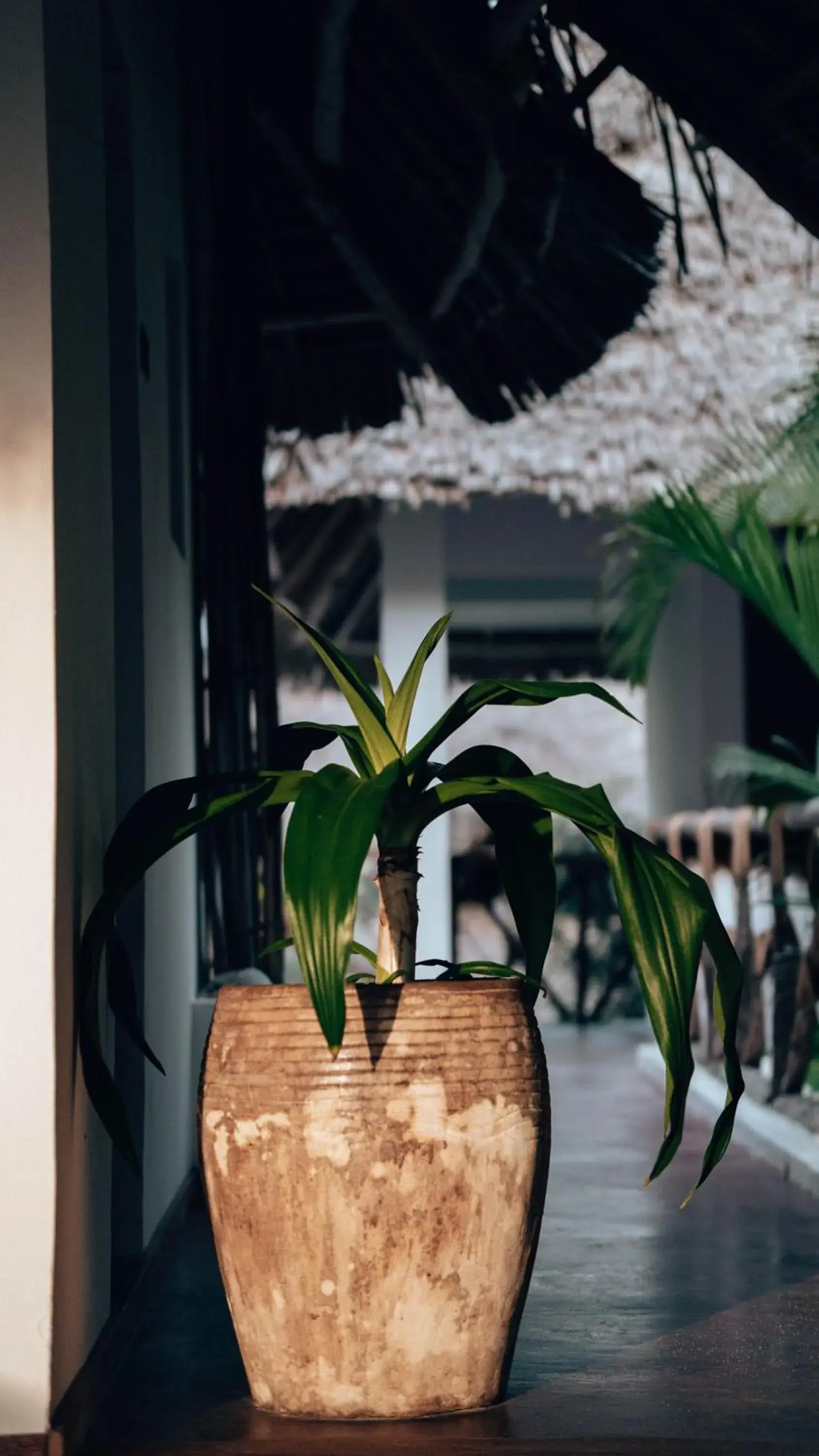 Property building in Sahari Zanzibar Property building in Sahari Zanzibar