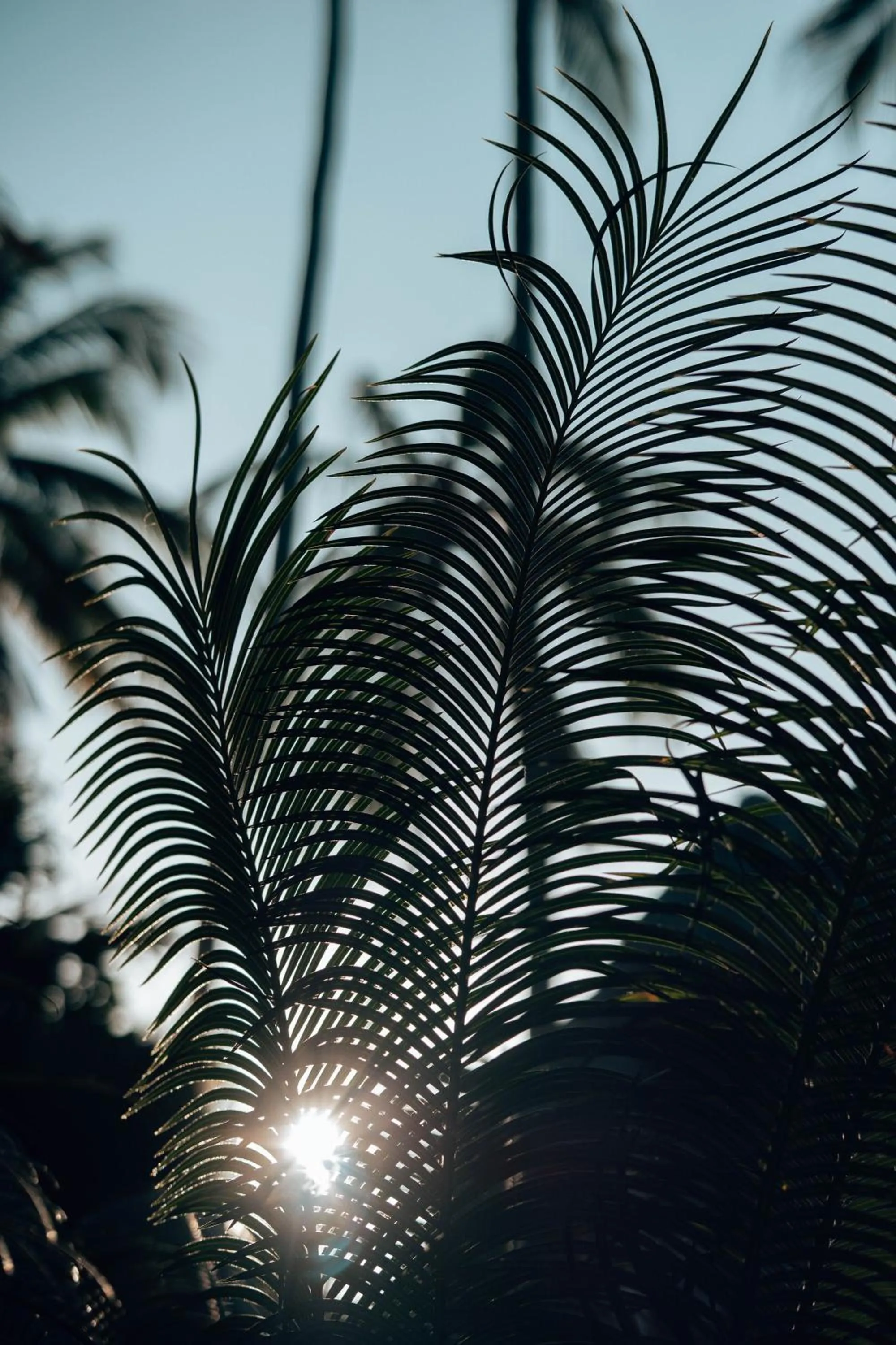 Day in Sahari Zanzibar