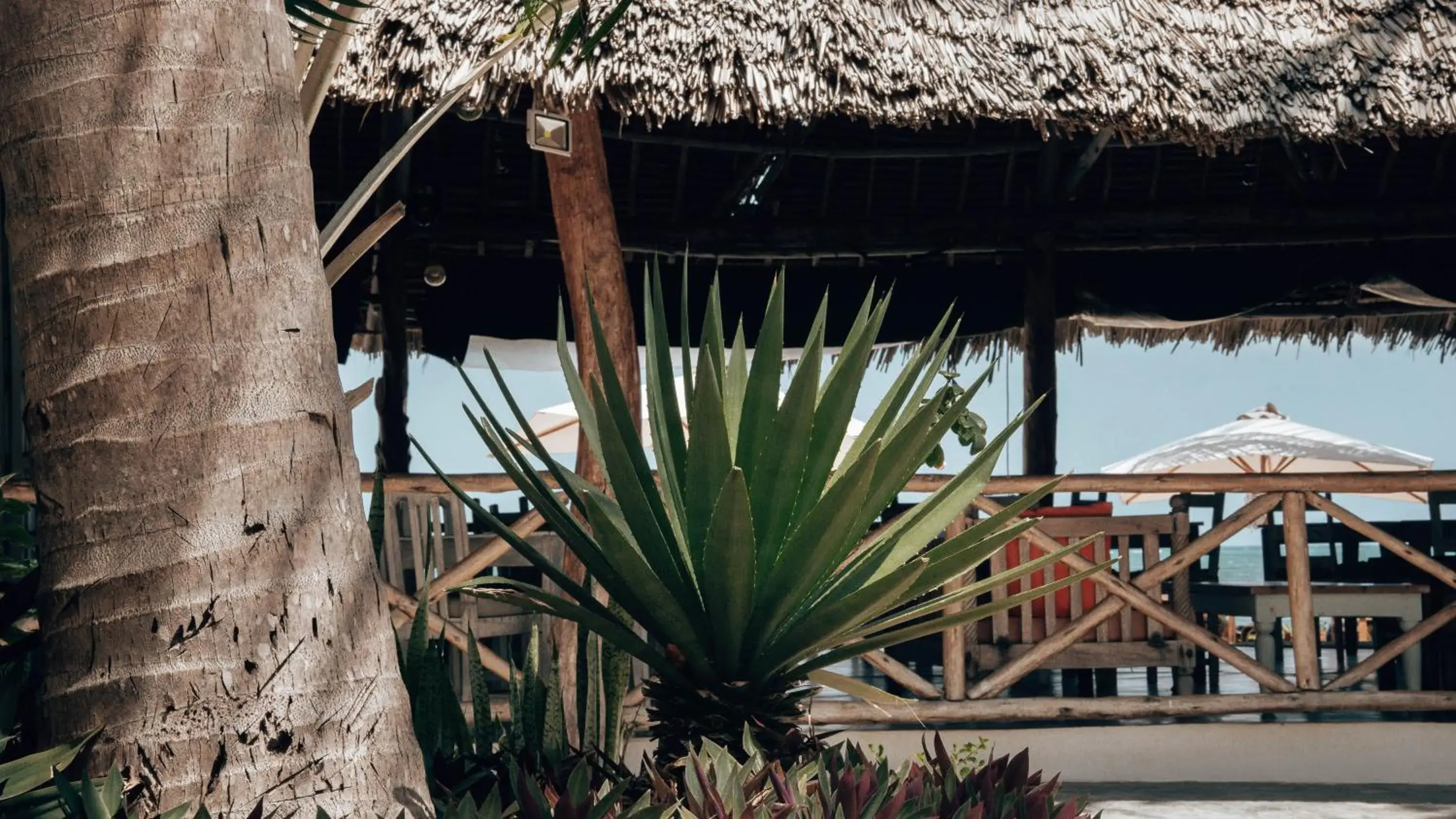 Garden view in Sahari Zanzibar Garden view in Sahari Zanzibar