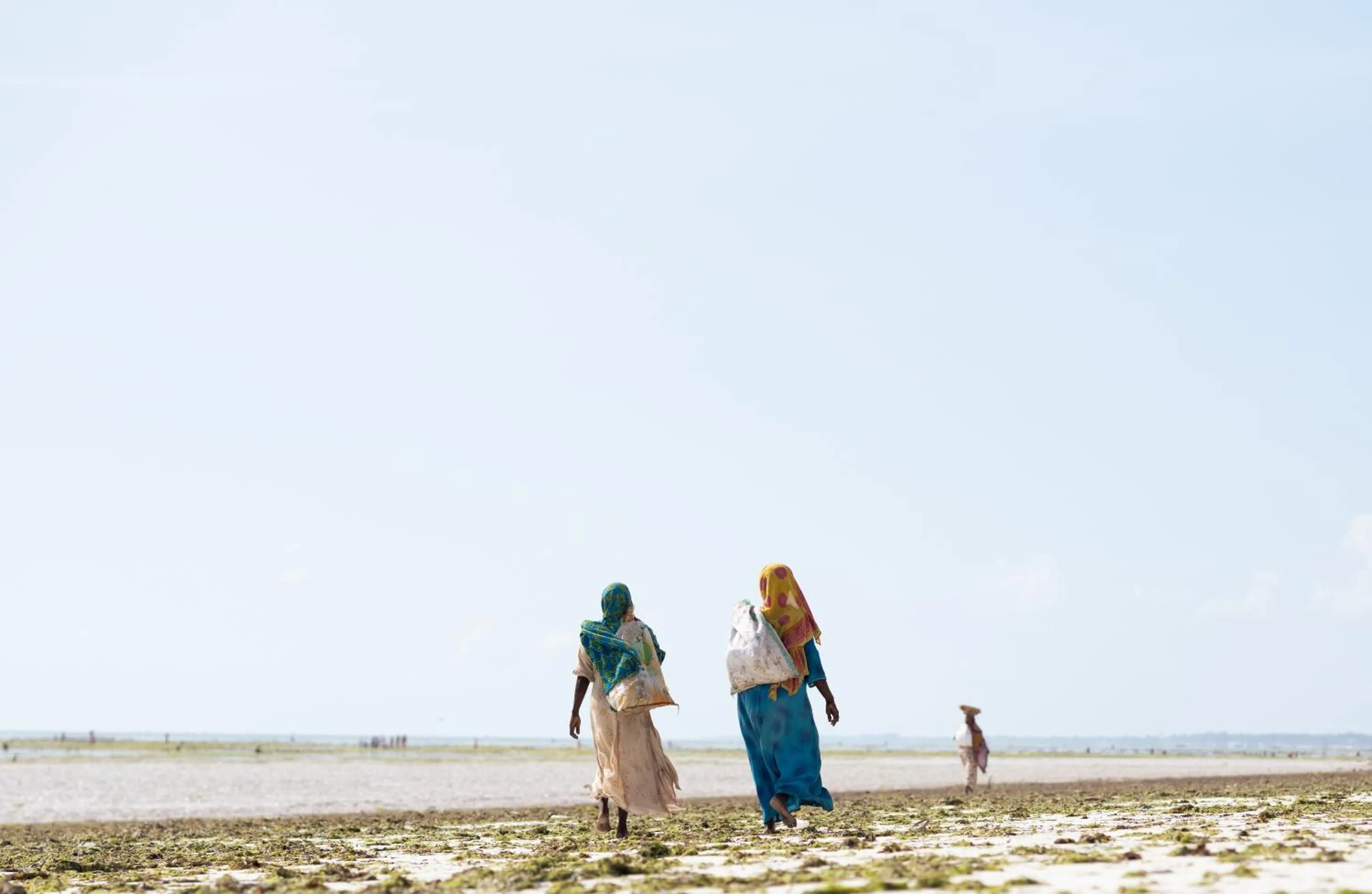 Day in Sahari Zanzibar