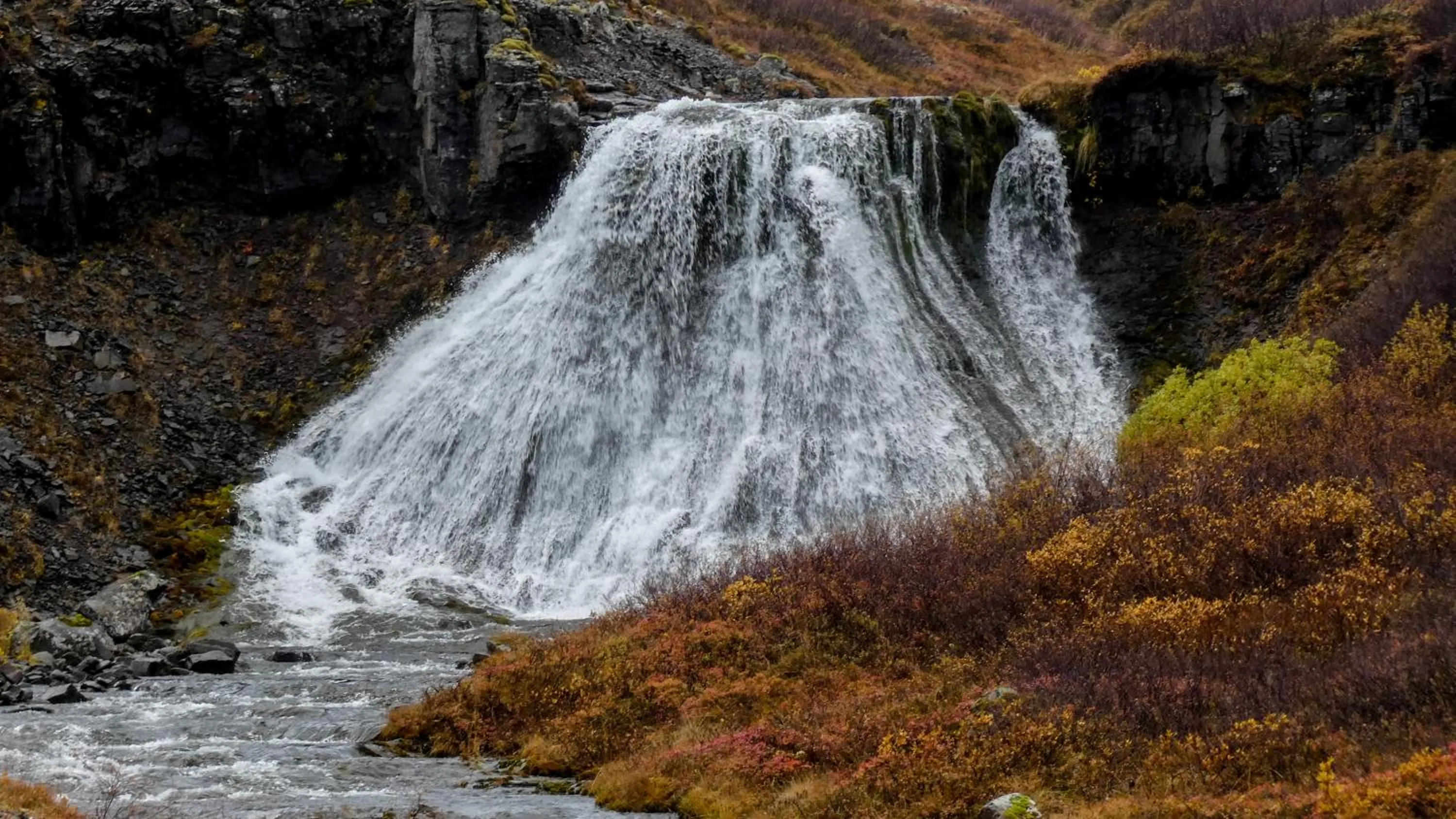 Natural landscape in Harbour Inn - Guesthouse