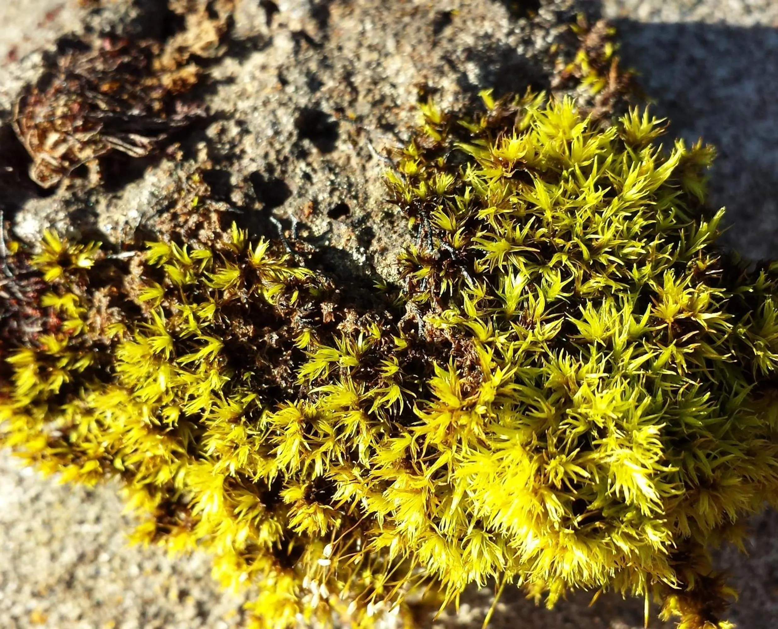 Other in Harbour Inn - Guesthouse