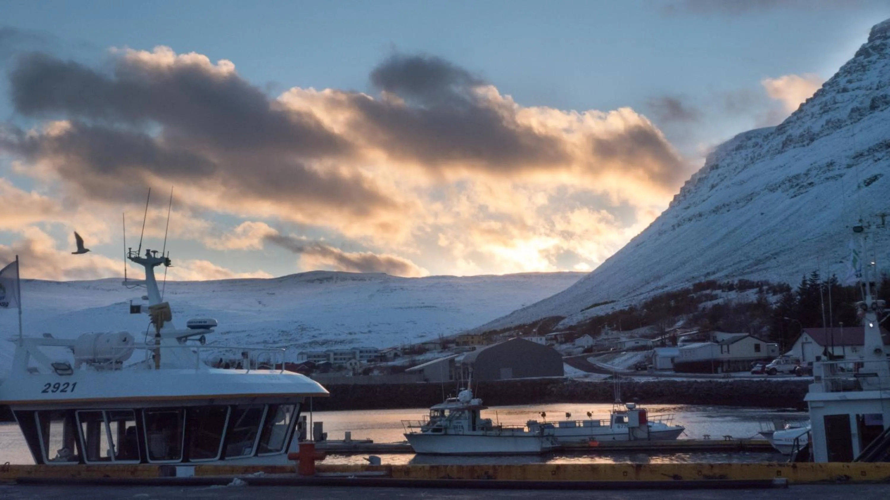 Harbour Inn - Guesthouse