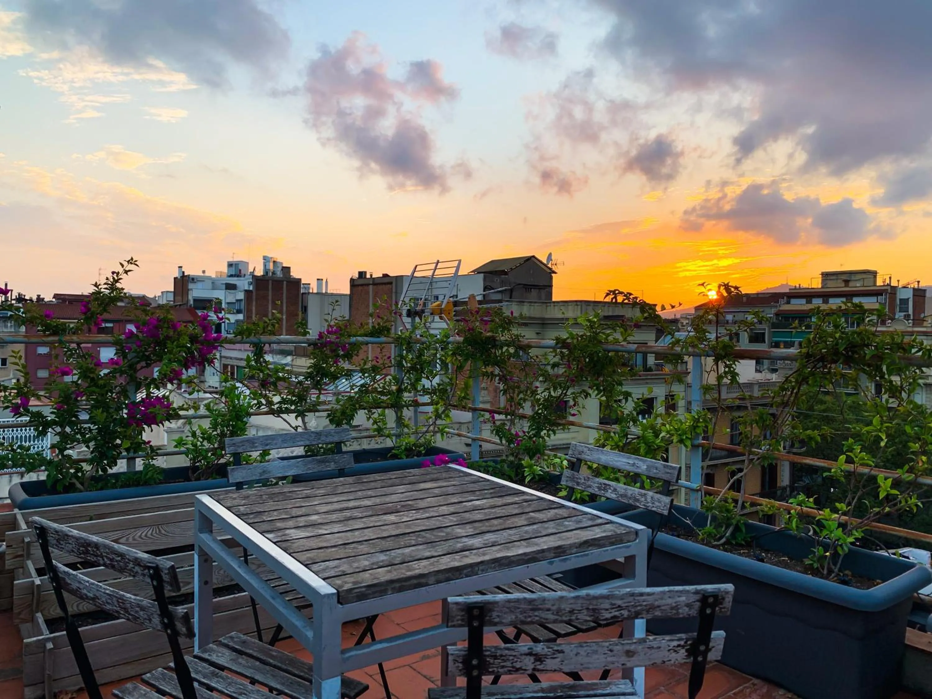 Balcony/Terrace in Incredible 2BR Penthouse with Urban Rooftop Garden