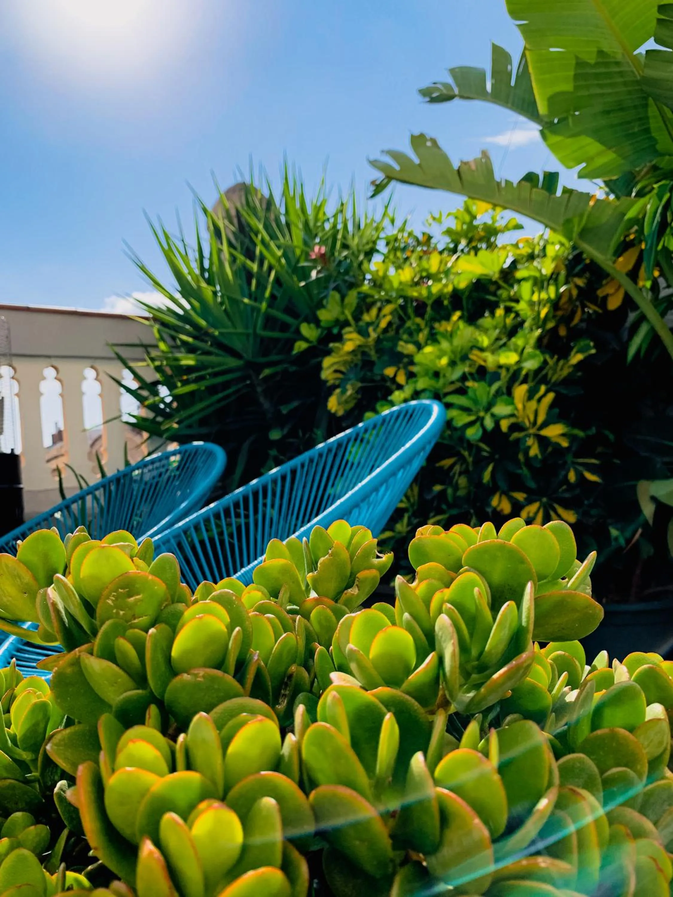 Balcony/Terrace in Incredible 2BR Penthouse with Urban Rooftop Garden