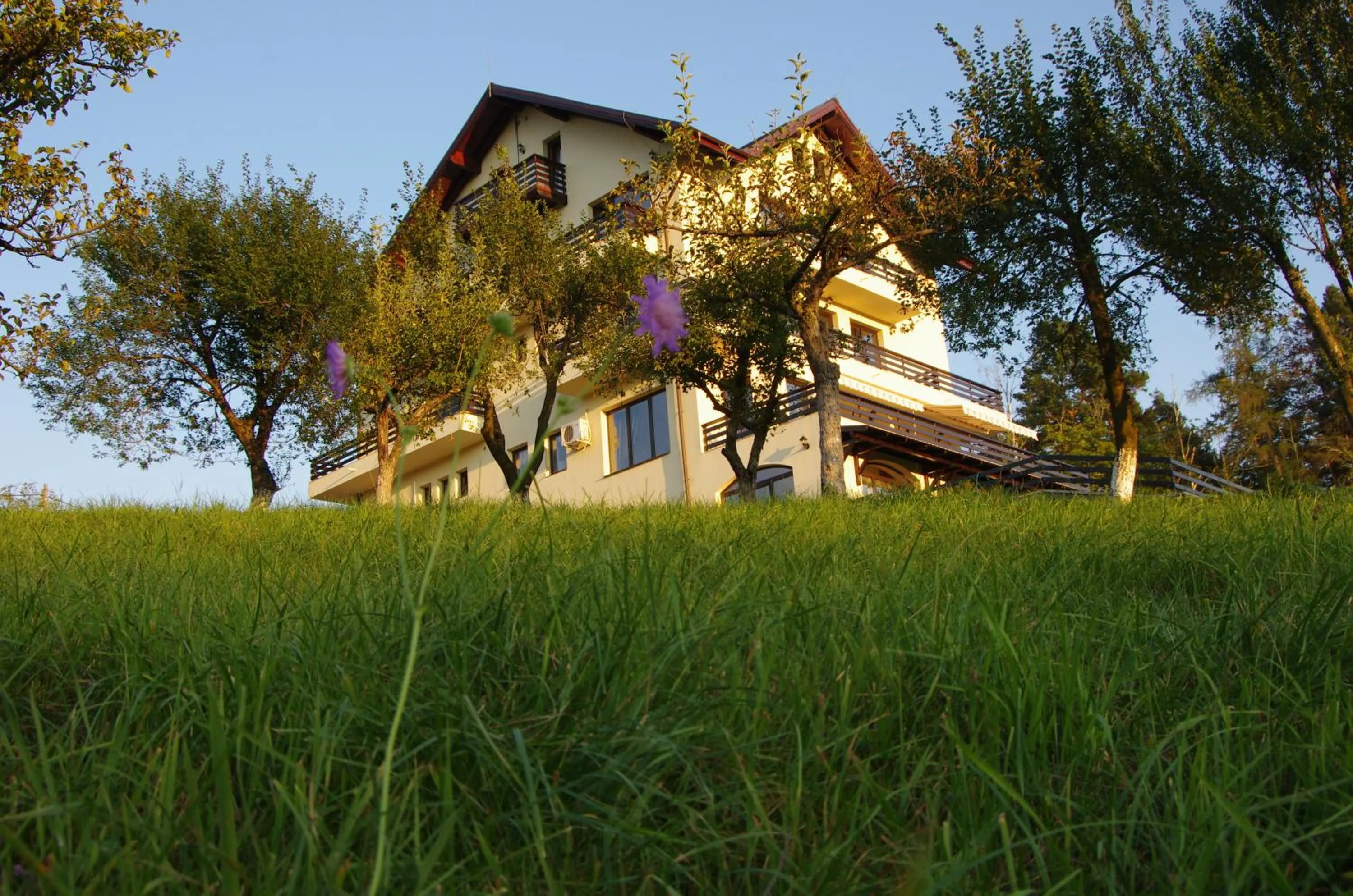 Garden in Pensiunea Toscana