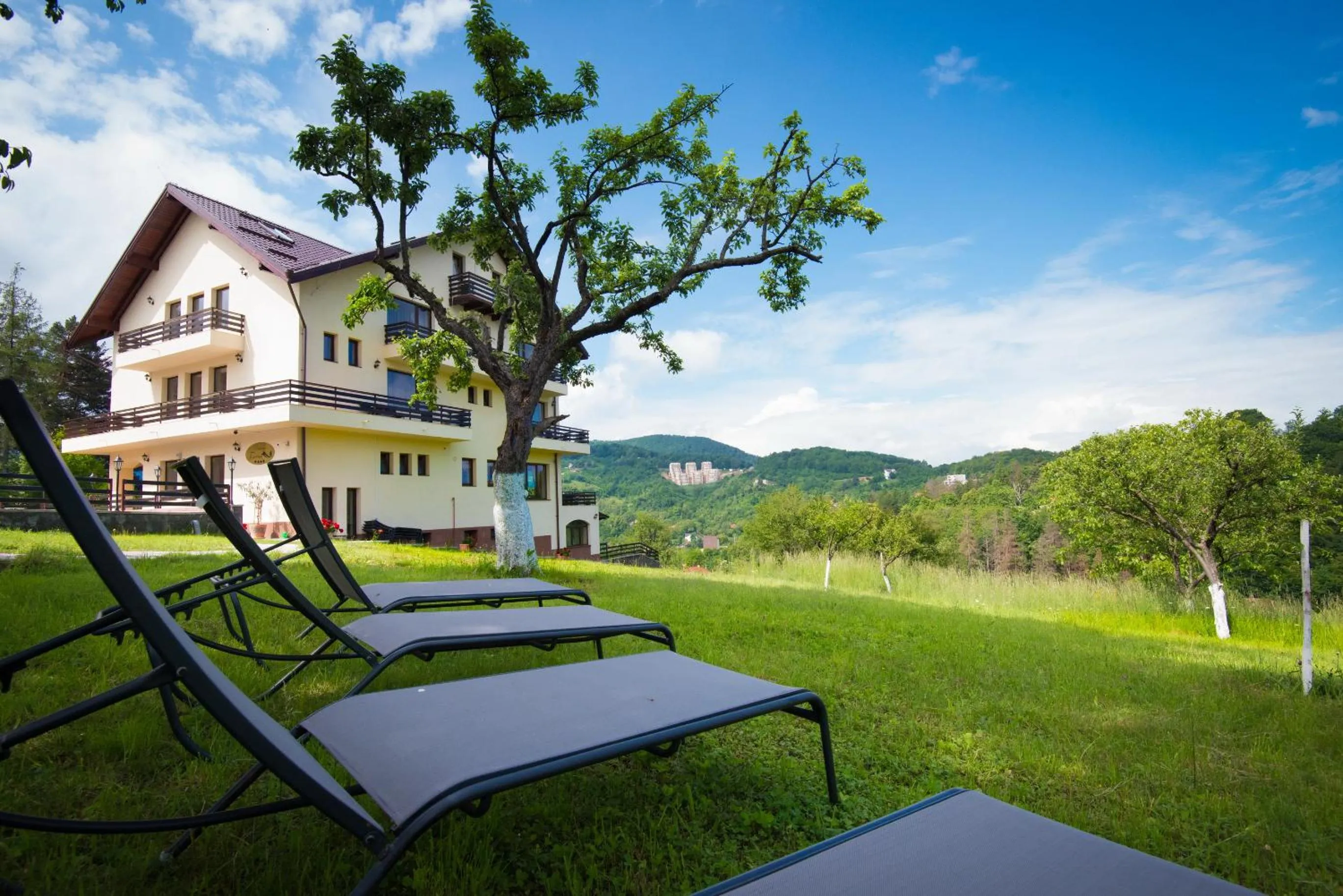 Garden in Pensiunea Toscana