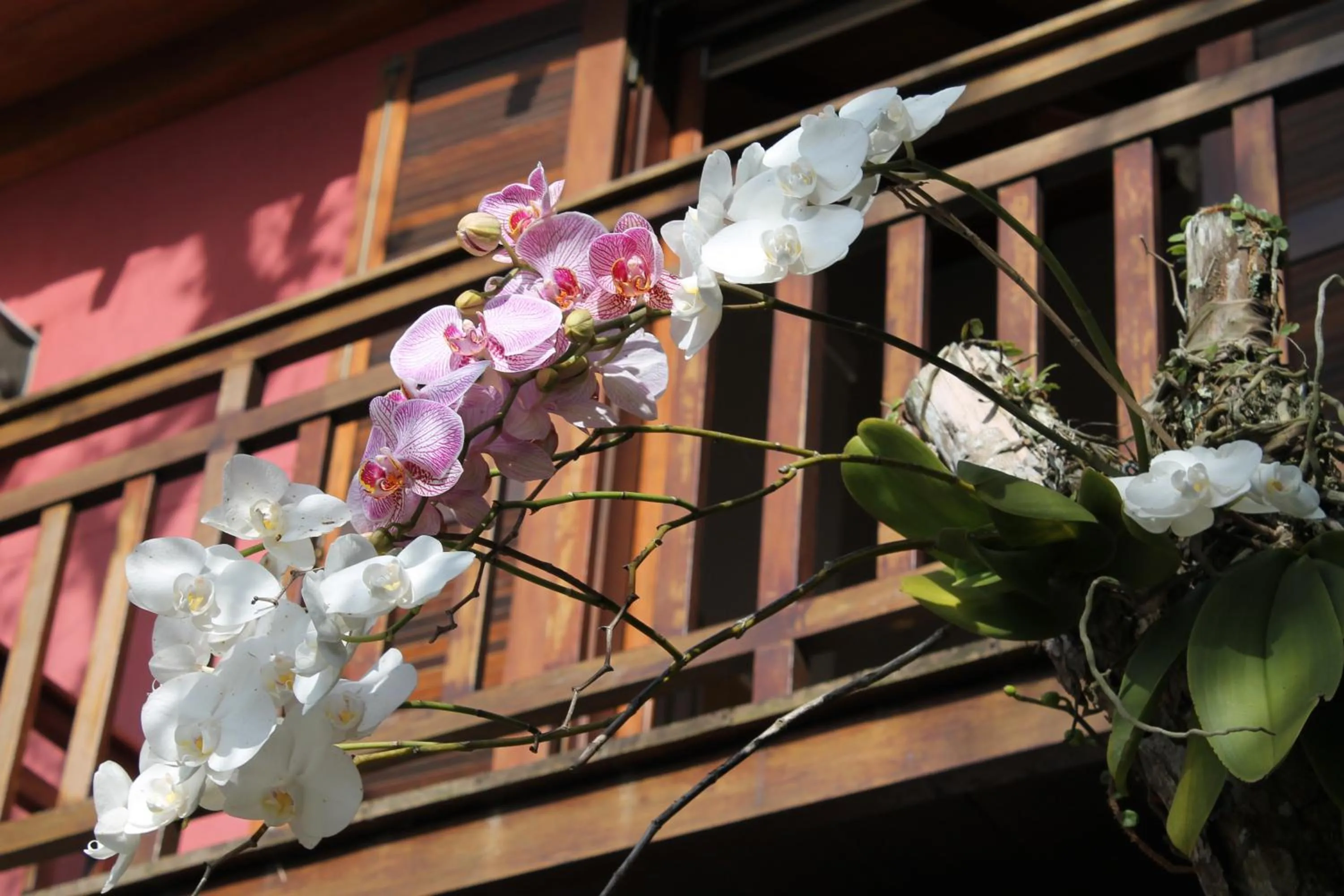 Garden in Dubai Bungalows Bombinhas