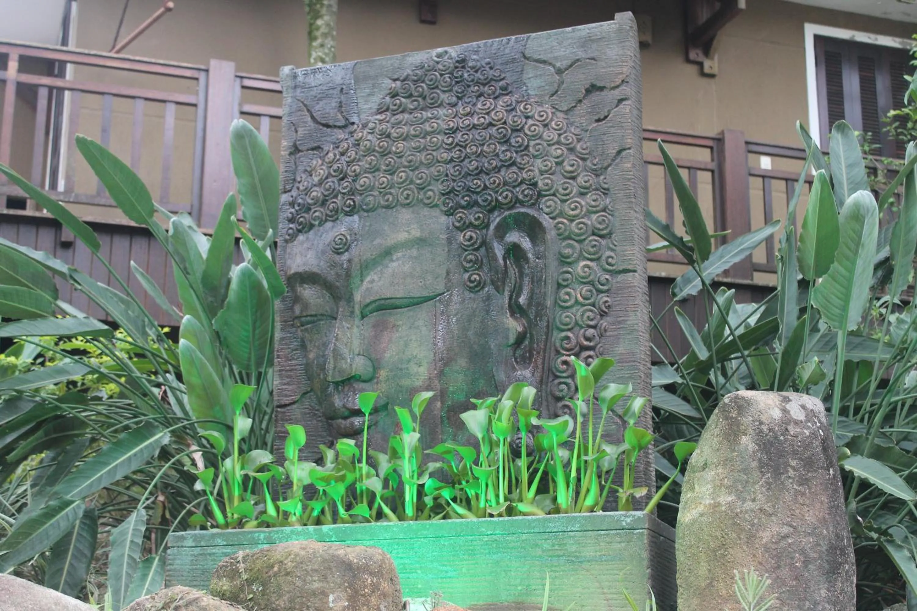 Garden in Dubai Bungalows Bombinhas