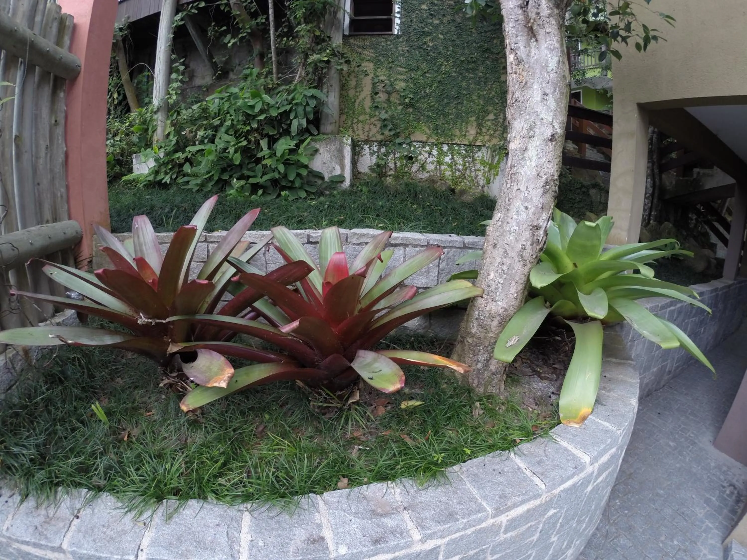 Garden in Dubai Bungalows Bombinhas