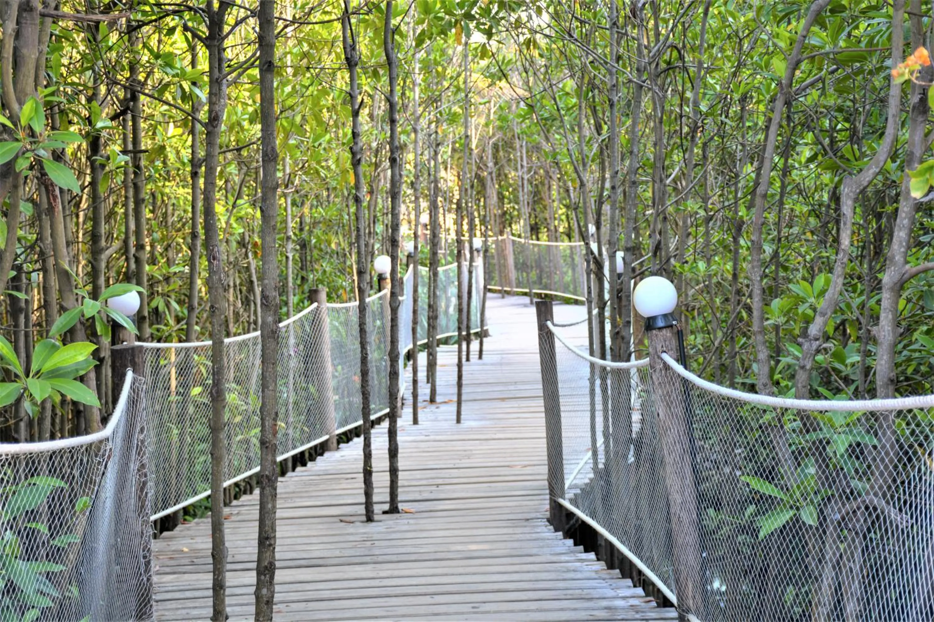 Natural landscape in Reef & Beach Resort - Spa Jambiani