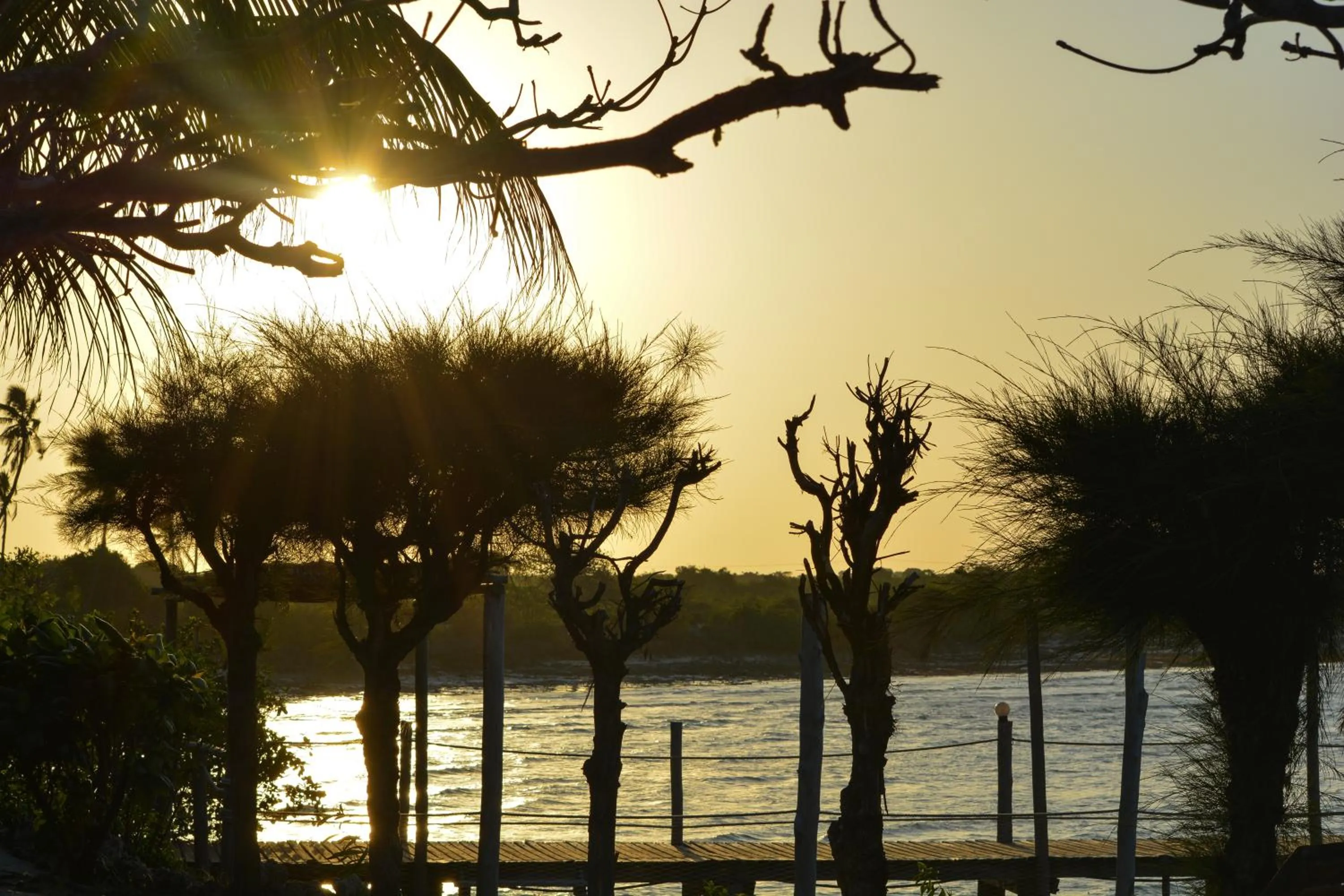 View (from property/room) in Reef & Beach Resort - Spa Jambiani