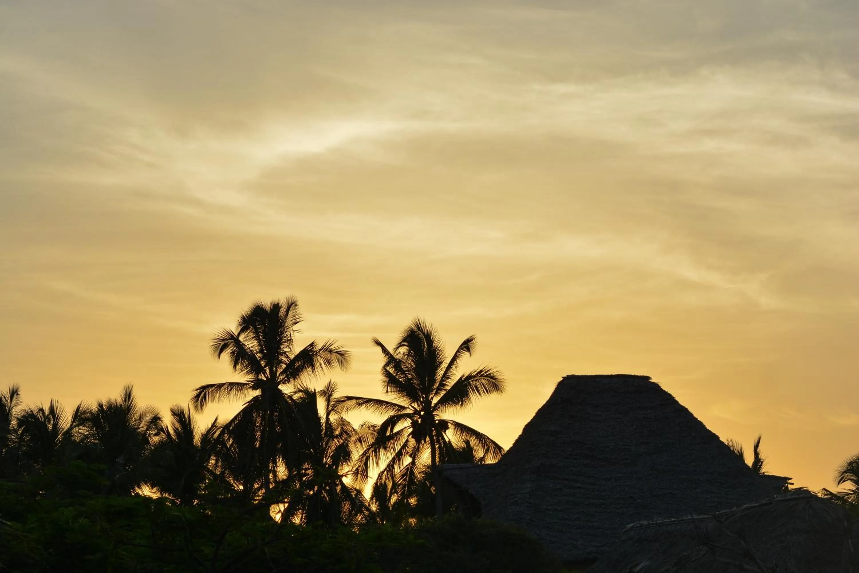 Lobby or reception in Reef & Beach Resort - Spa Jambiani