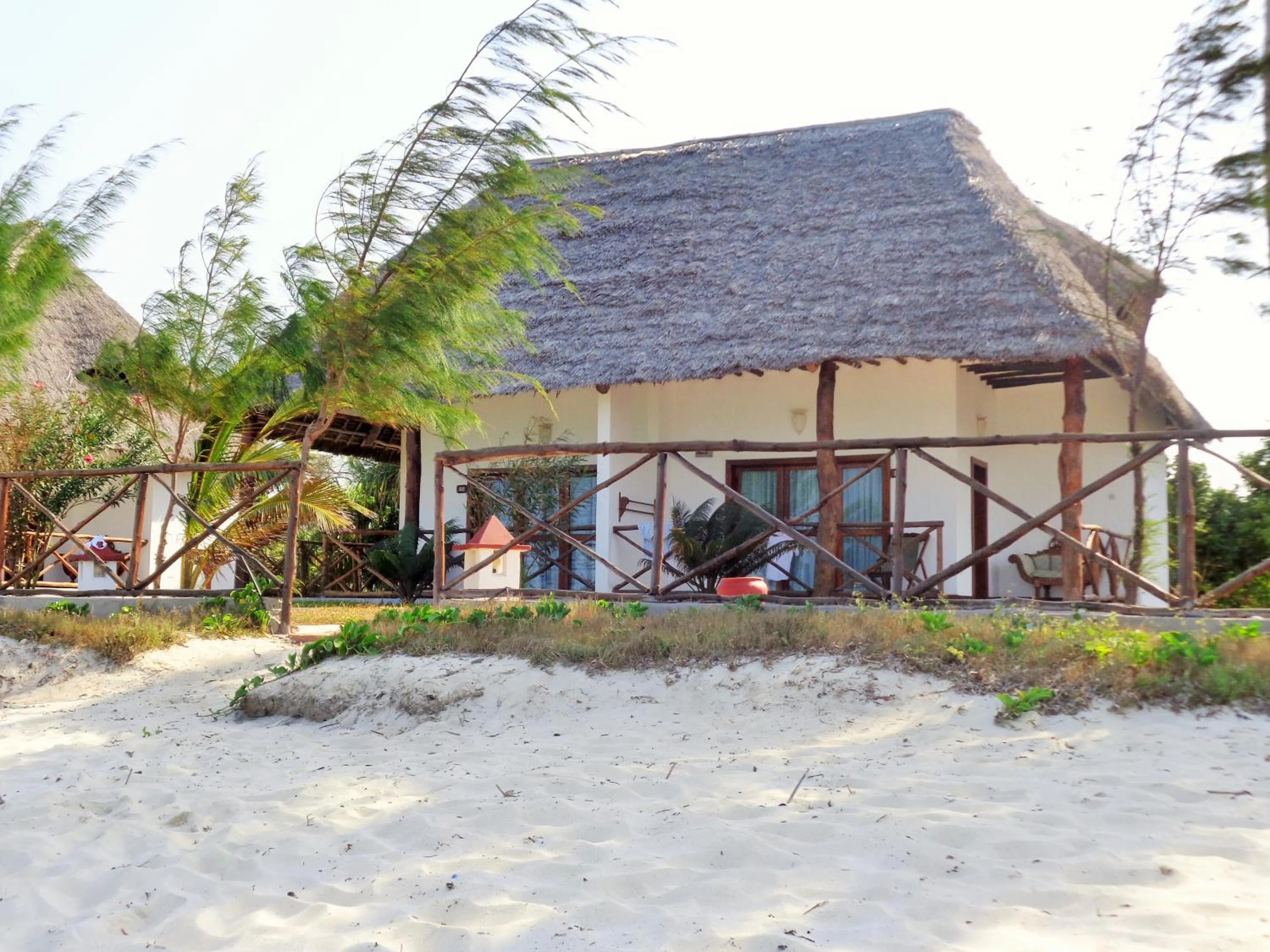 Beach in Reef & Beach Resort - Spa Jambiani
