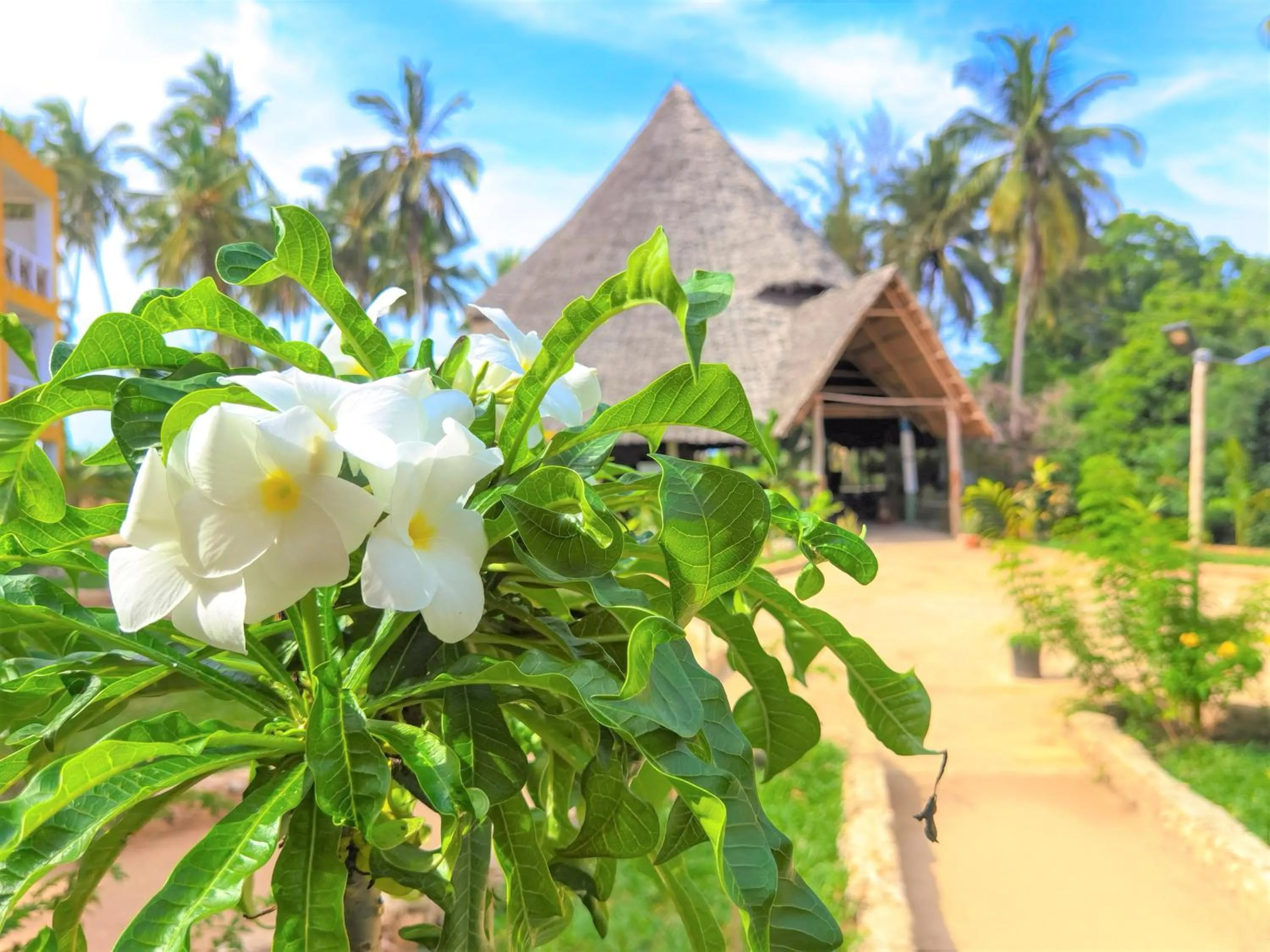 Lobby or reception in Reef & Beach Resort - Spa Jambiani