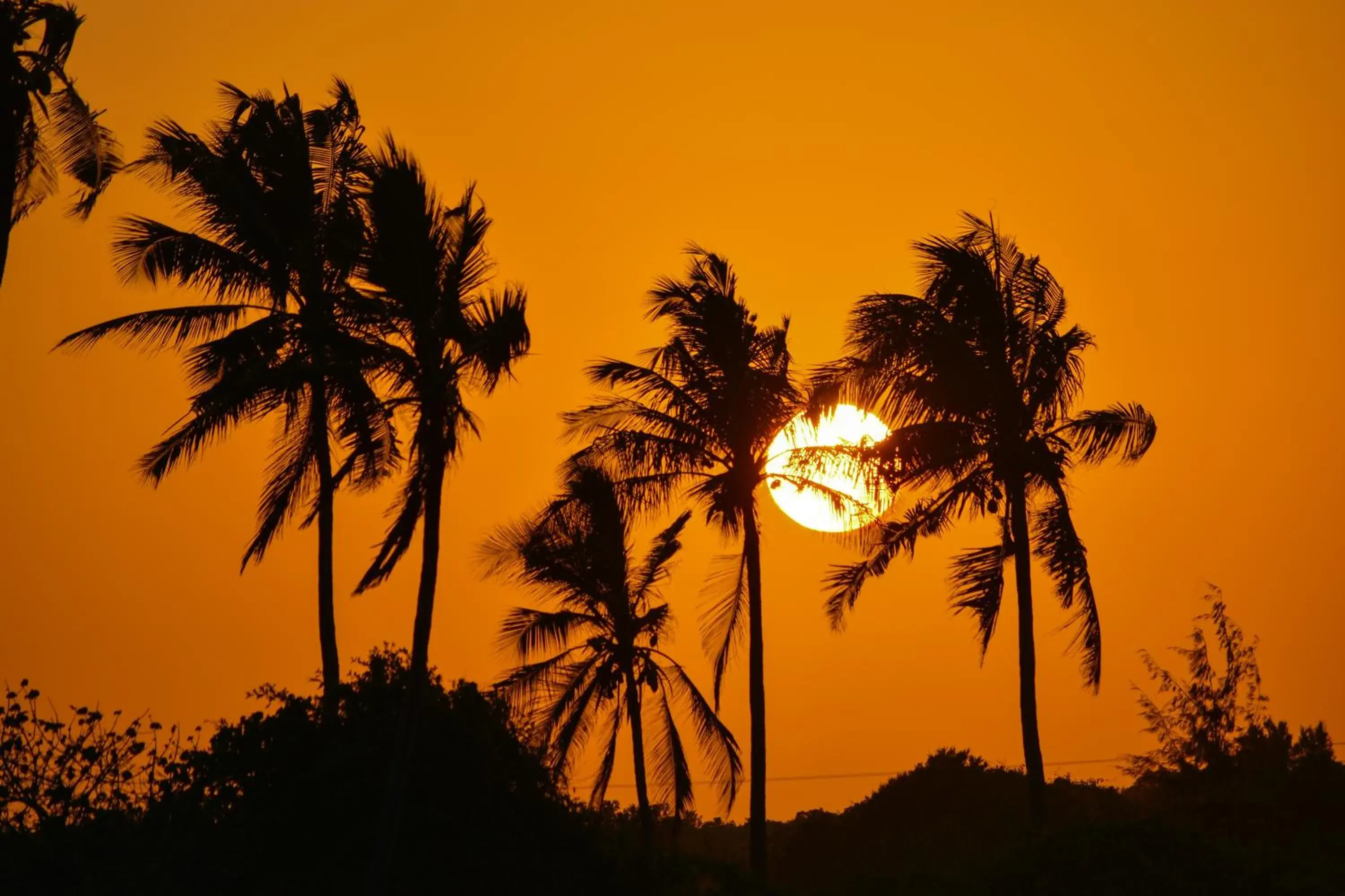 View (from property/room) in Reef & Beach Resort - Spa Jambiani View (from property/room) in Reef & Beach Resort - Spa Jambiani