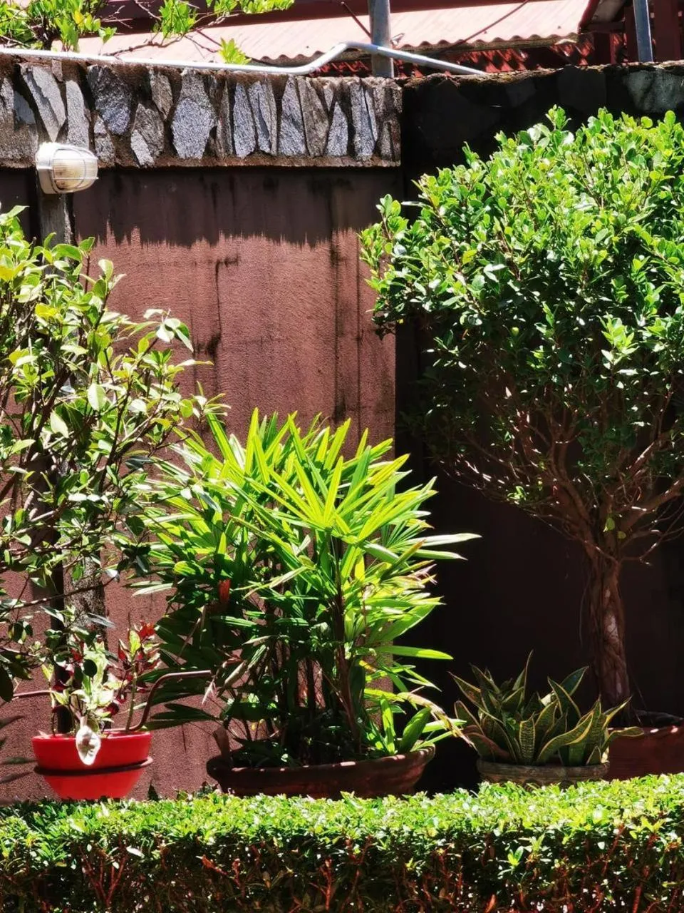 Garden in Sunrise House