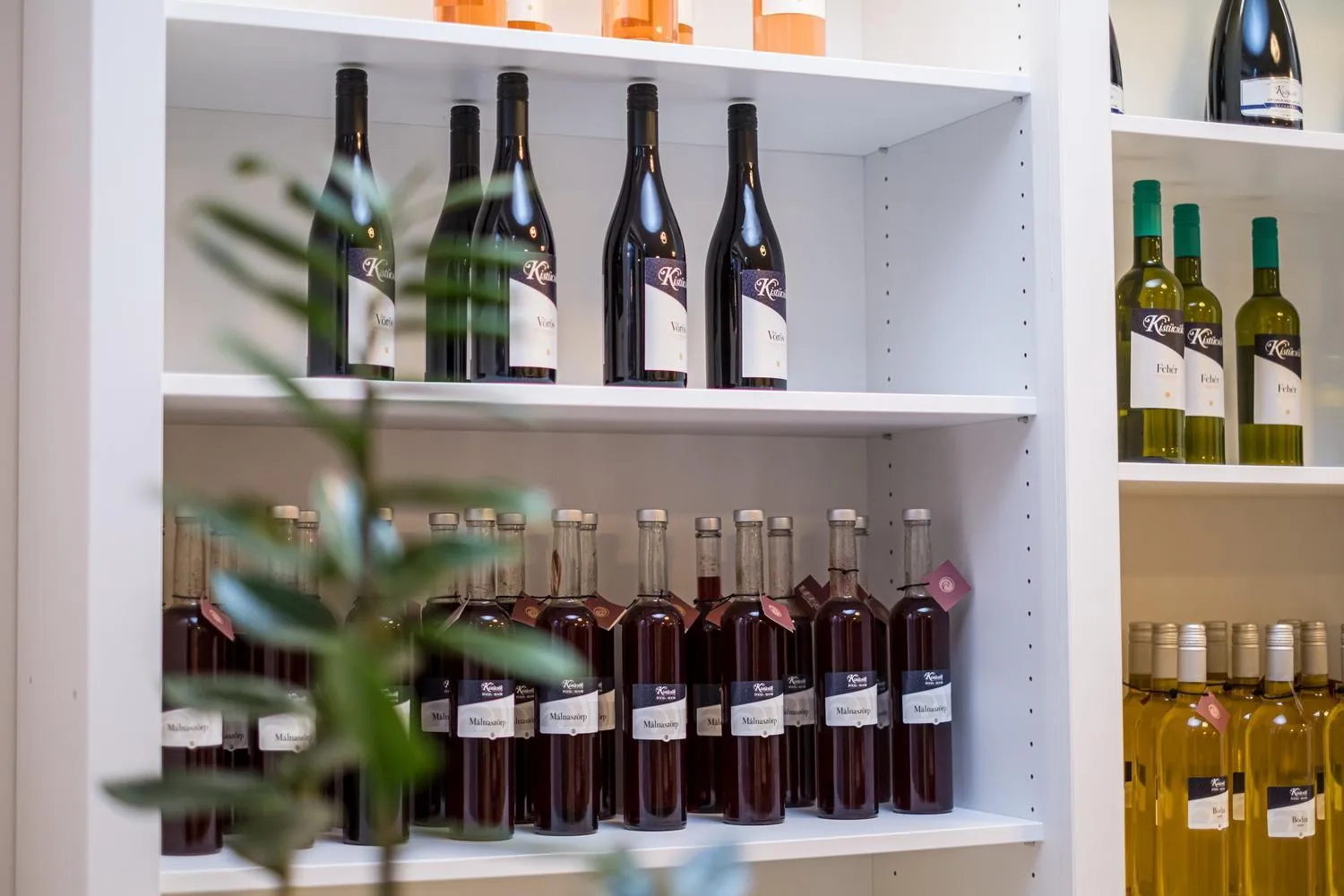 Lobby or reception in Kistücsök Food & Room