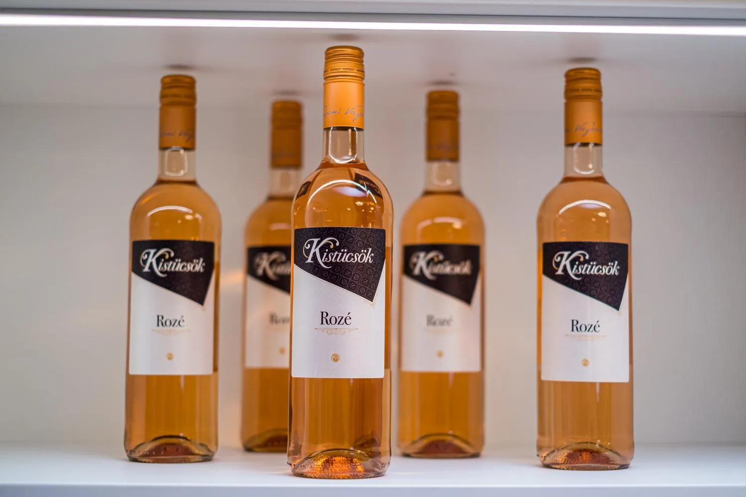 Lobby or reception in Kistücsök Food & Room