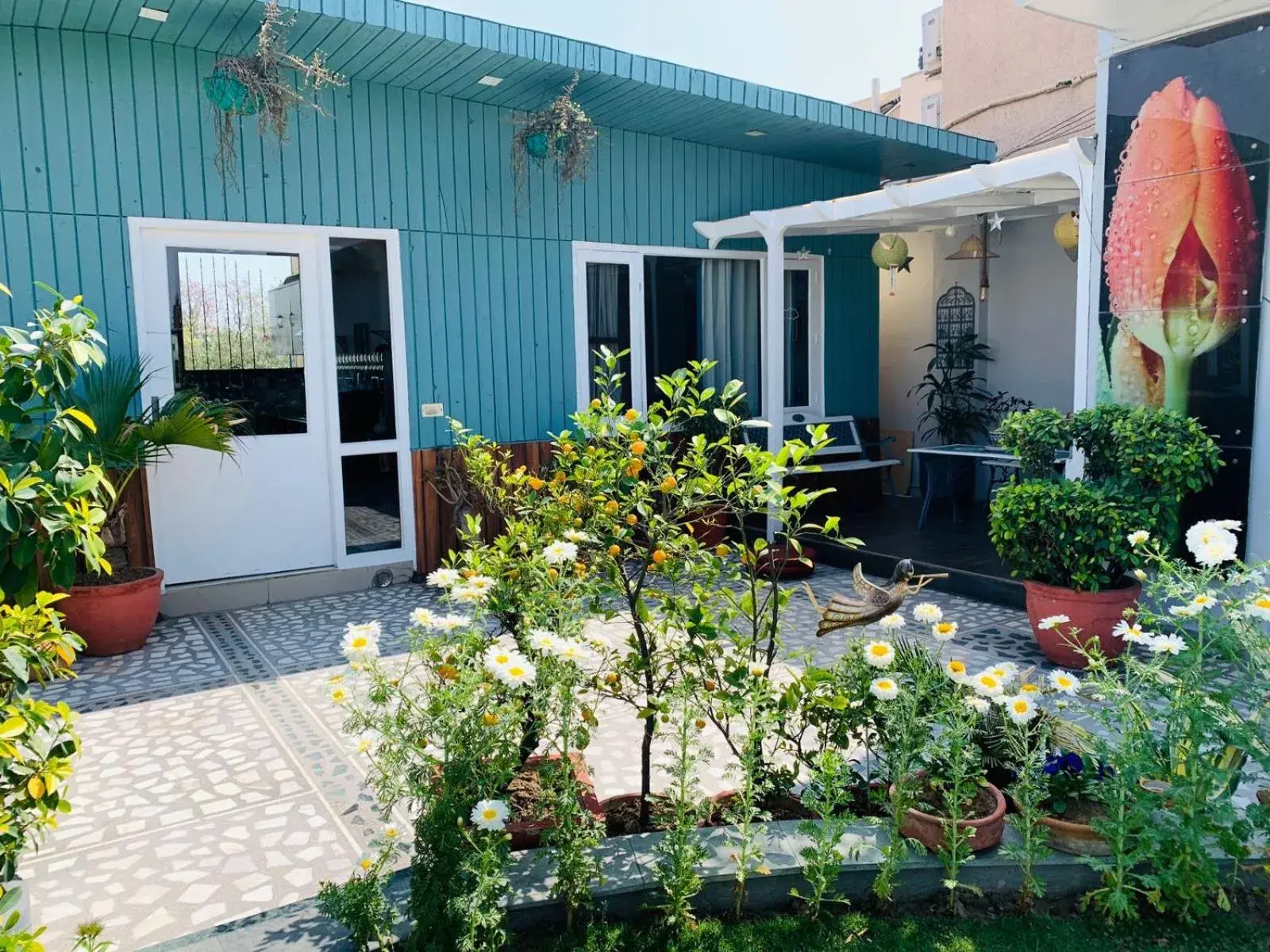 Garden view in Vandana's Bed and breakfast Garden view in Vandana's Bed and breakfast