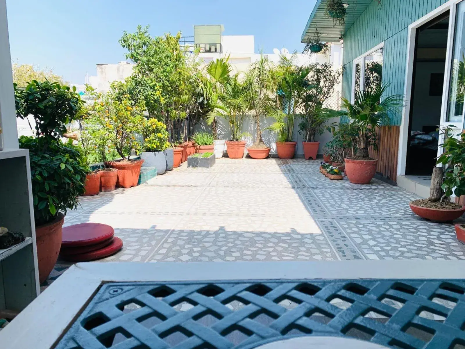 Garden in Vandana's Bed and breakfast Garden in Vandana's Bed and breakfast