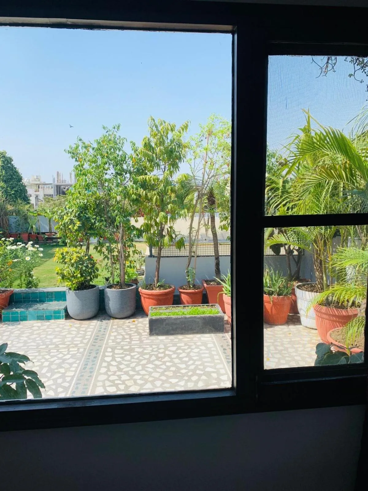 Garden in Vandana's Bed and breakfast